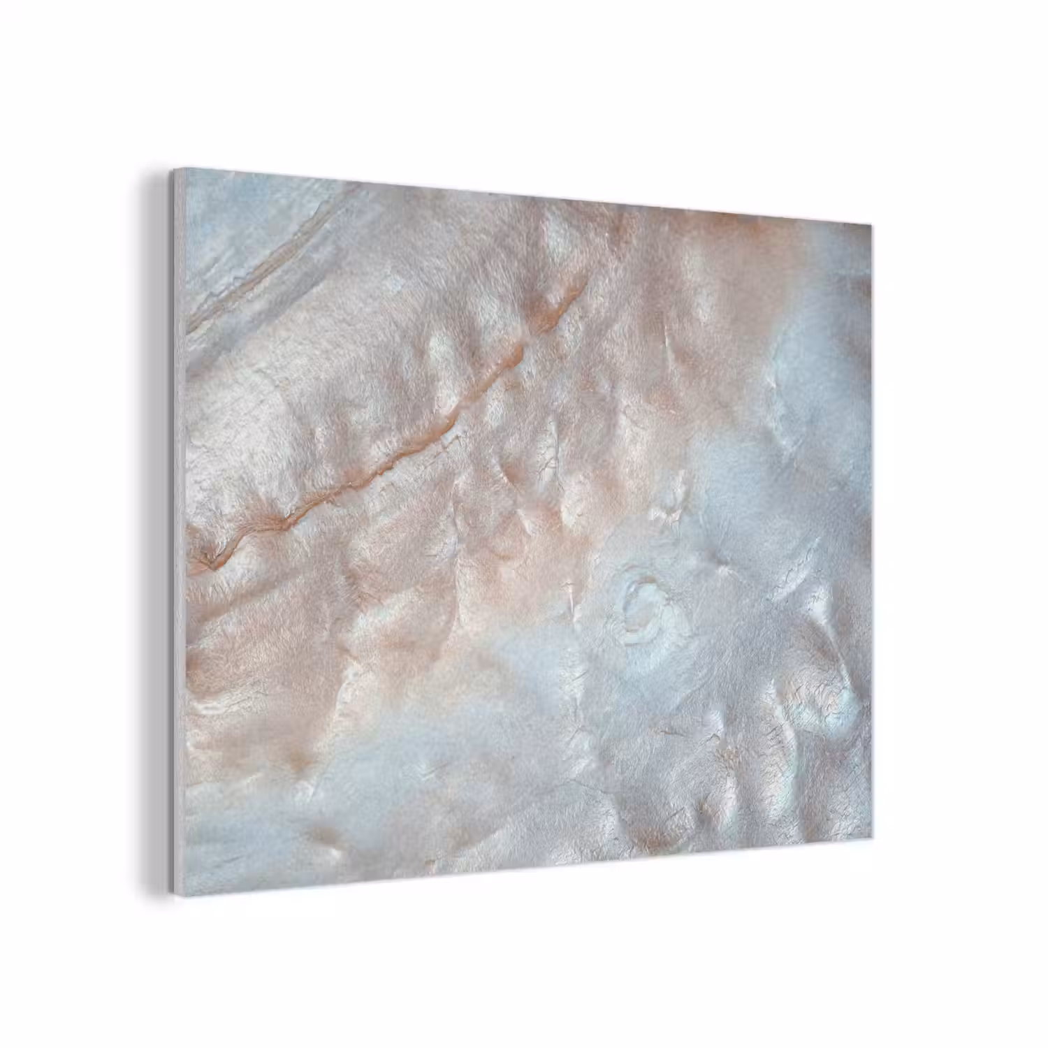Schelpen - Abstract - Natuur PET vilt klein -3d