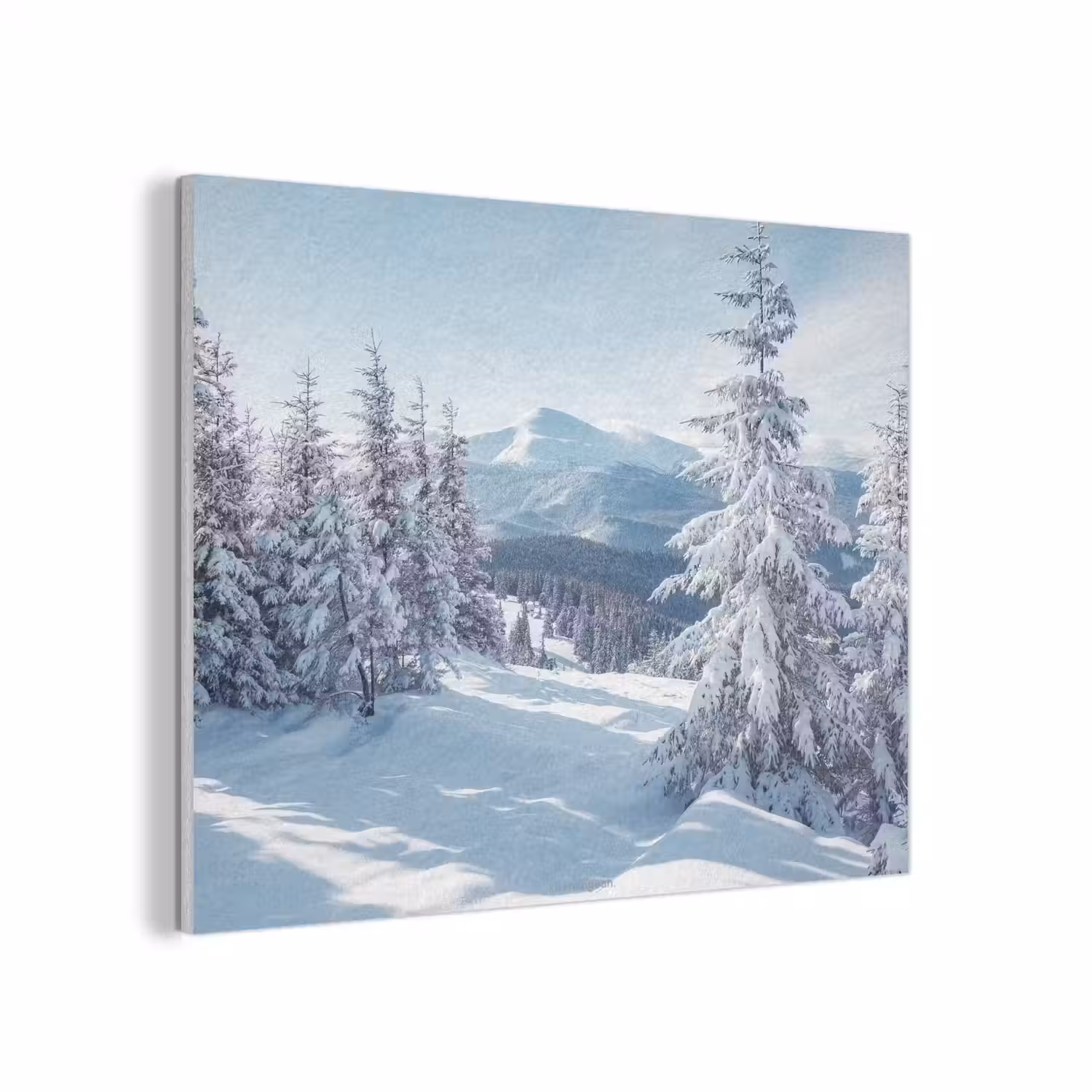 Sneeuw - Winter - Landschap - Bergen PET vilt klein -3d