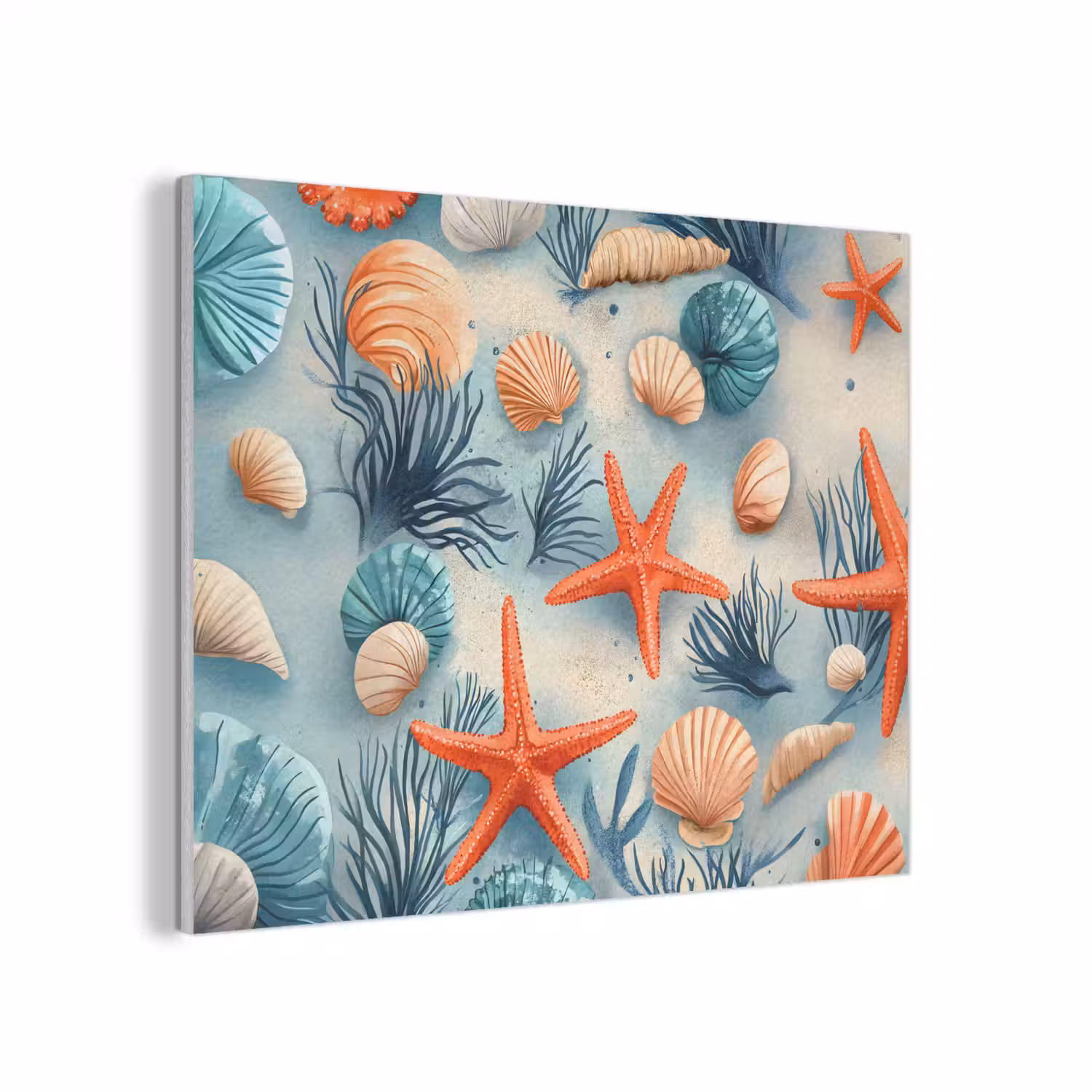 Zeesterren - Schelpen - Illustratie - Zand PET vilt klein -3d