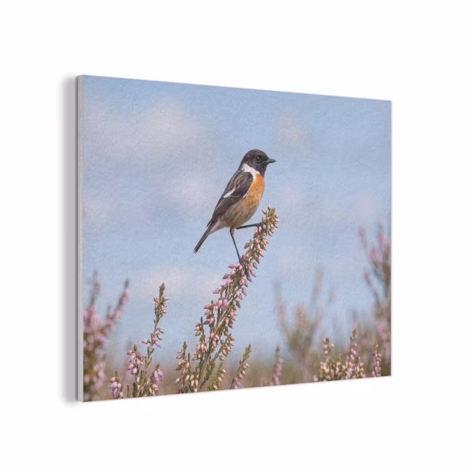 Roodborsttapuit - Heide - Paars - Natuur - Sfeervol PET vilt klein -3d
