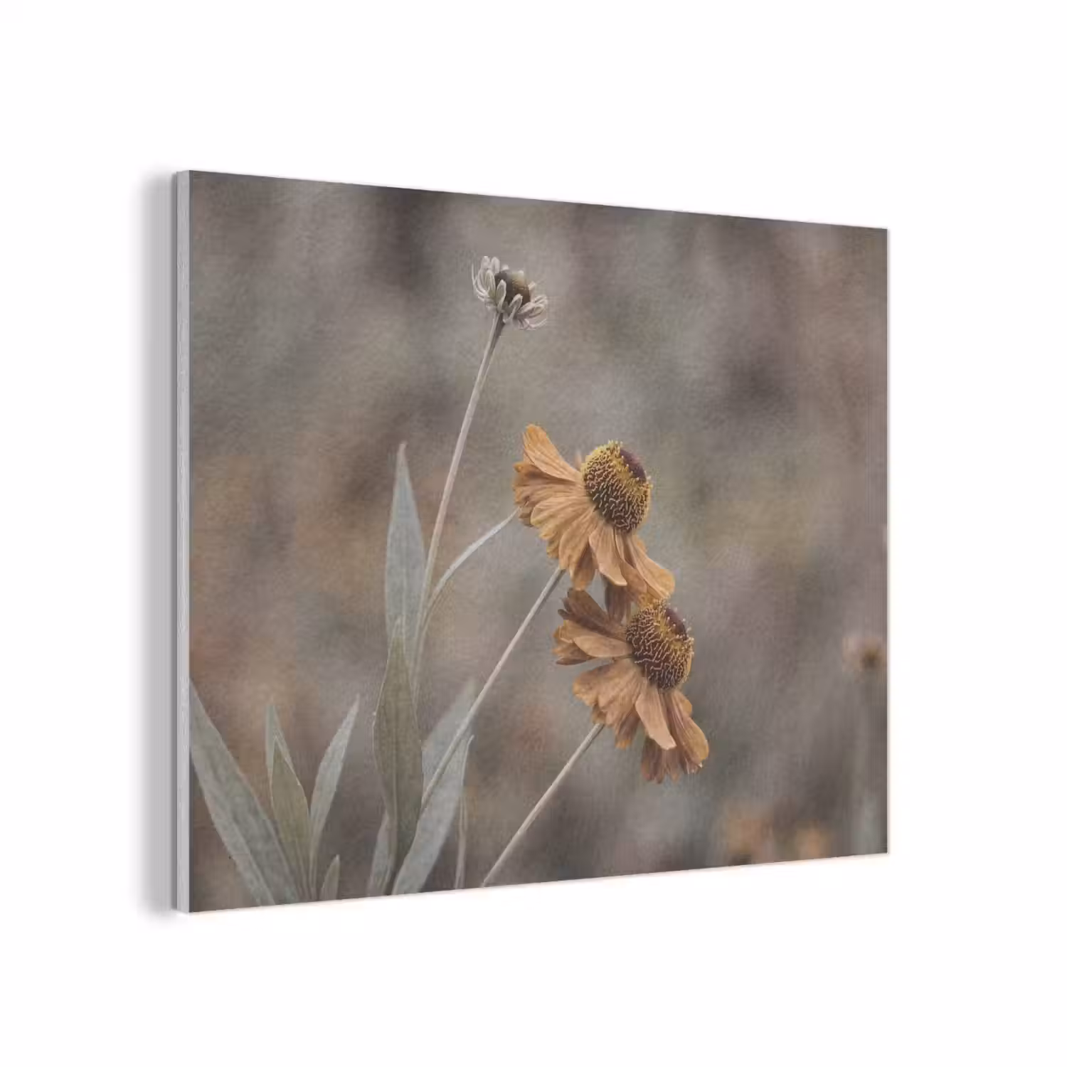 Zonnehoed - Droogbloemen - Geel - Warm PET vilt klein -3d