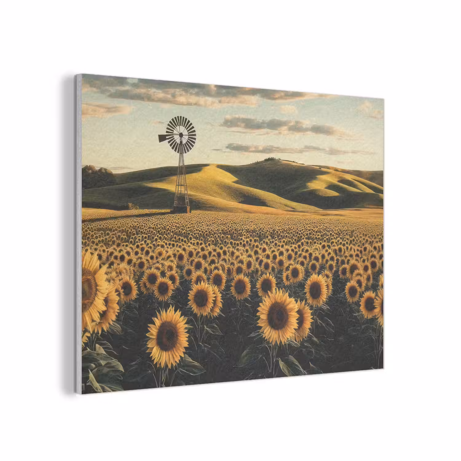 Zonnebloem - Veld - Windmolen PET vilt klein -3d