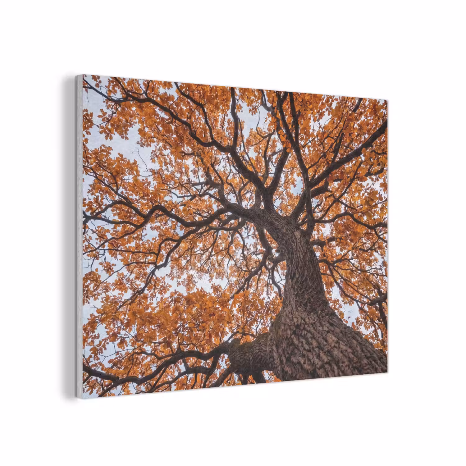 Boom - Bladerdak - Herfst - Oranje - Sfeervol PET vilt klein -3d
