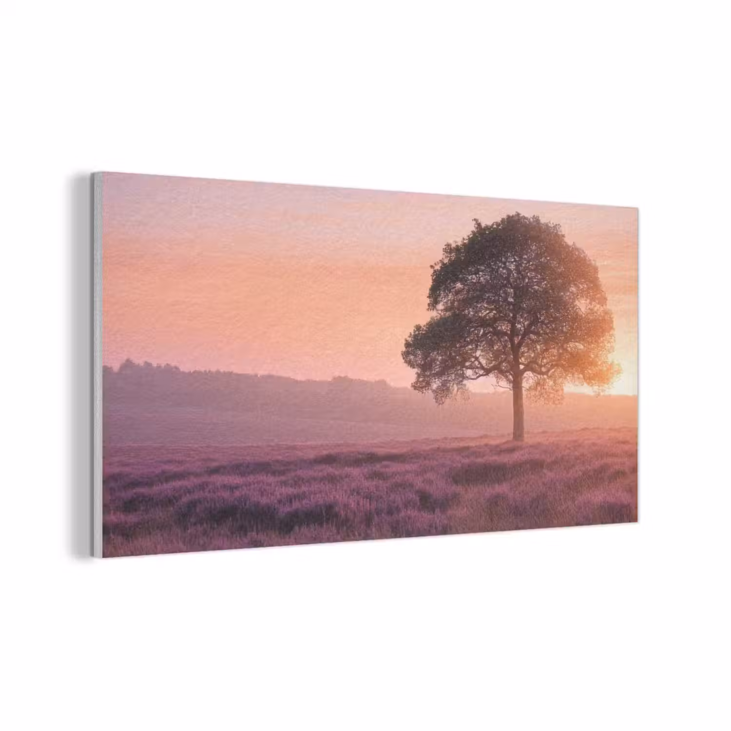 Boom - Heide - Zonsopgang PET vilt middel -3d