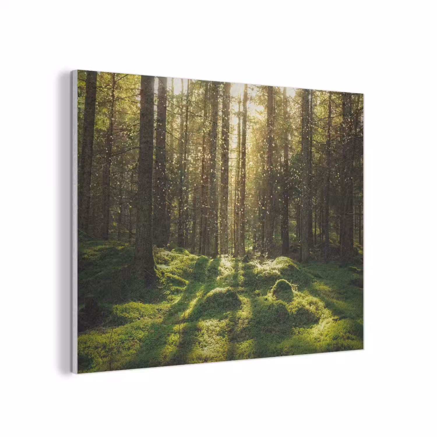 Bomen - Bos - Mos - Planten - Zon - Natuur PET vilt klein -3d