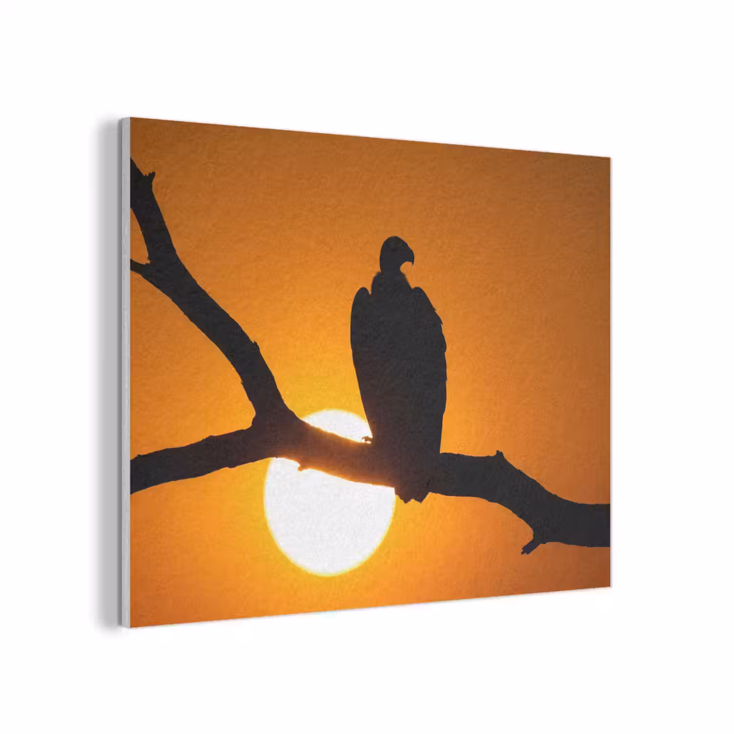 Gier - Tak - Zon - Oranje PET vilt klein -3d