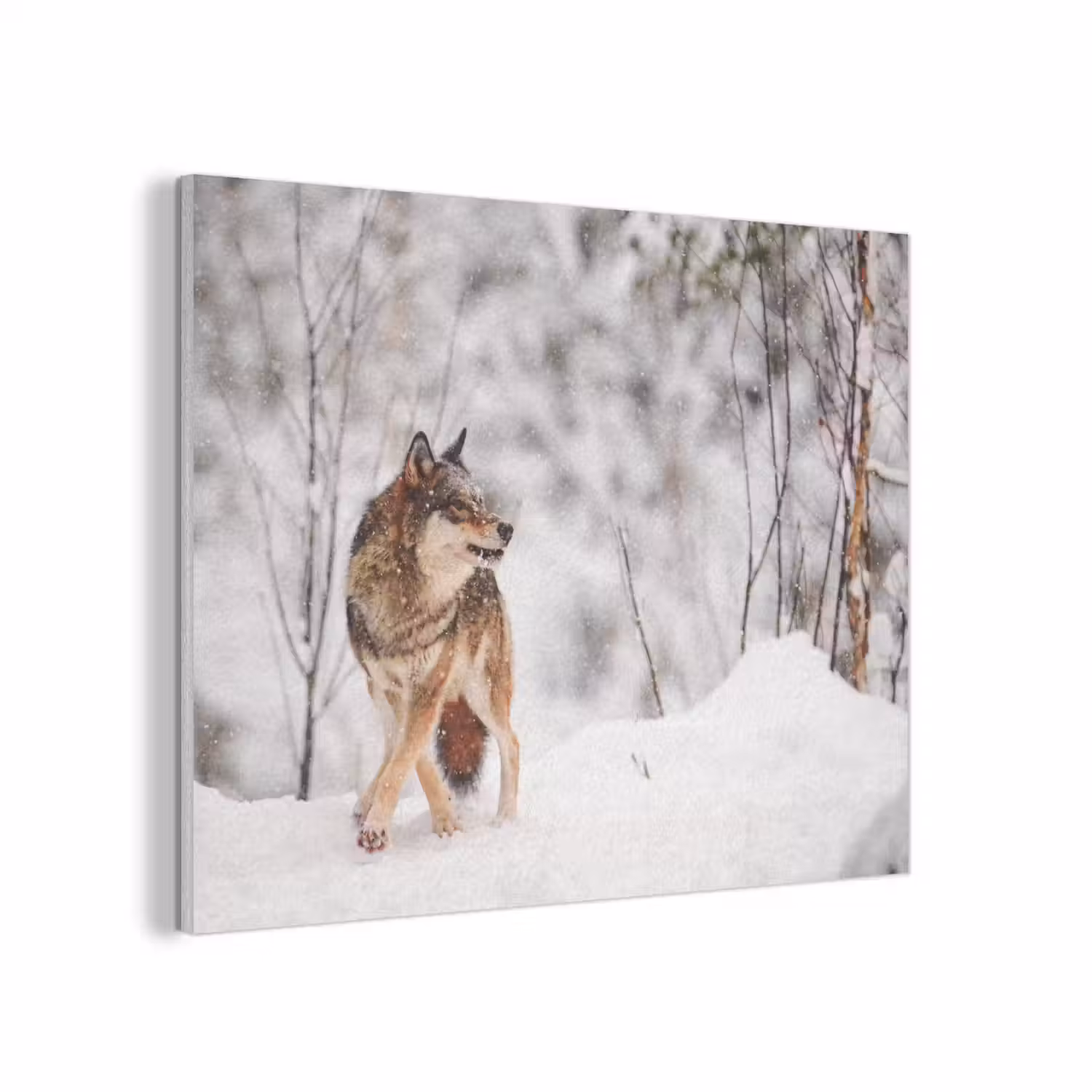 Wolf - Winter - Sneeuw - Natuur - Dieren PET vilt klein -3d