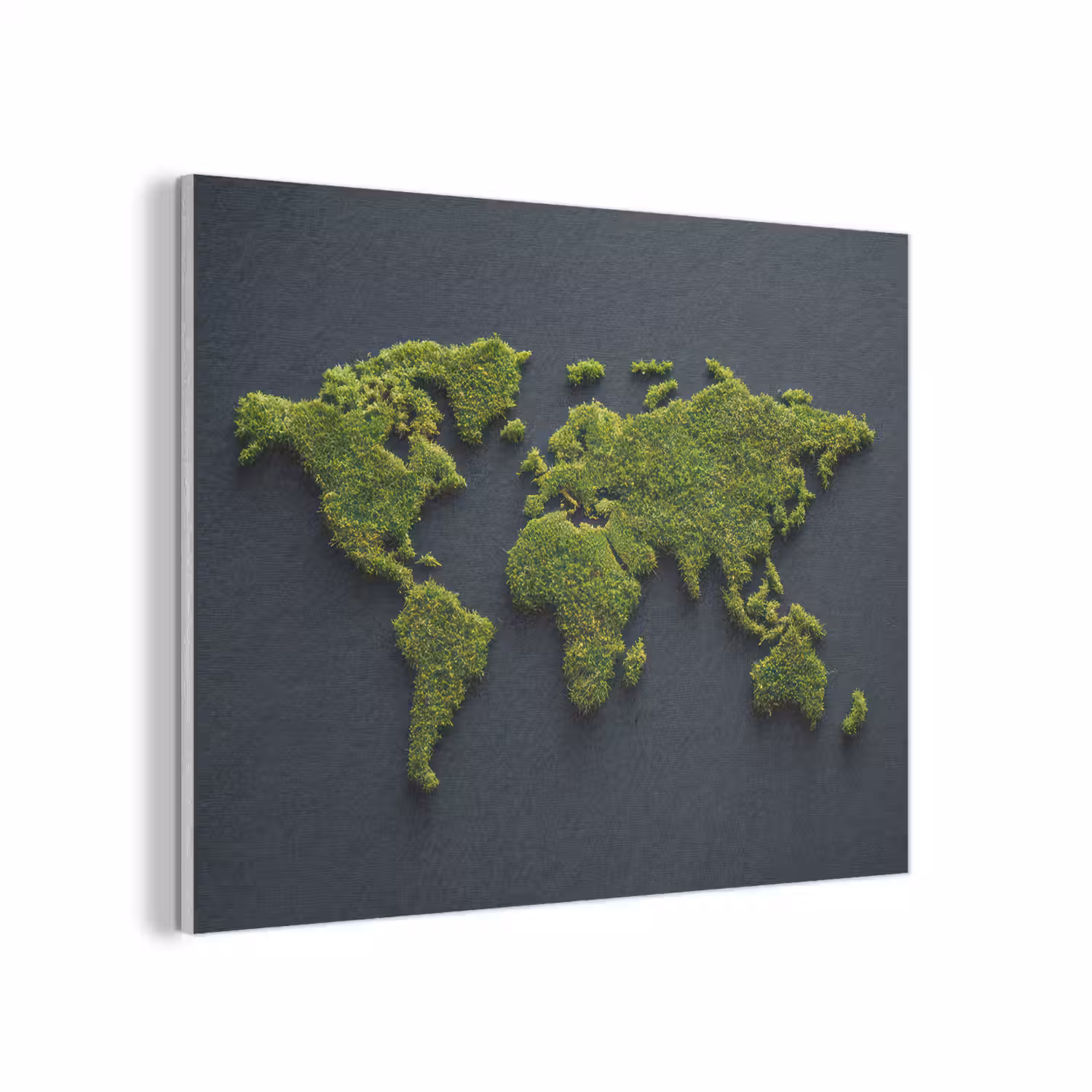 Wereldkaart - Mos -Levendig effect PET vilt klein -3d