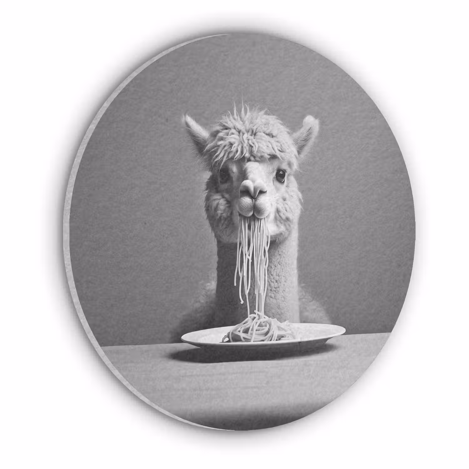 Alpaca - Pasta - Zwart - Wit - Grappig - Dieren Akoestische PET Vilt - Rond klein -3d