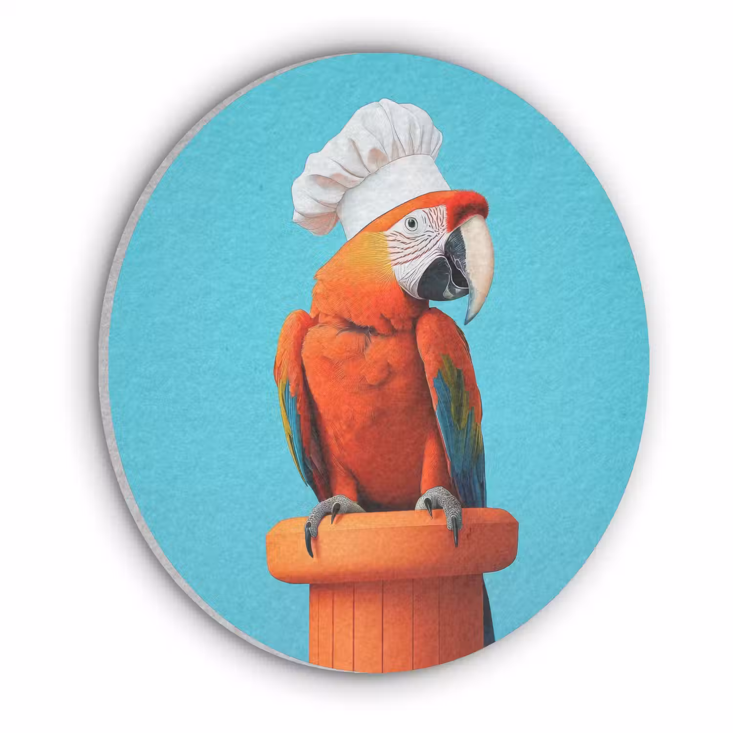 Ara - Koksmuts - Sokkel - Grappig Akoestische PET Vilt - Rond klein -3d