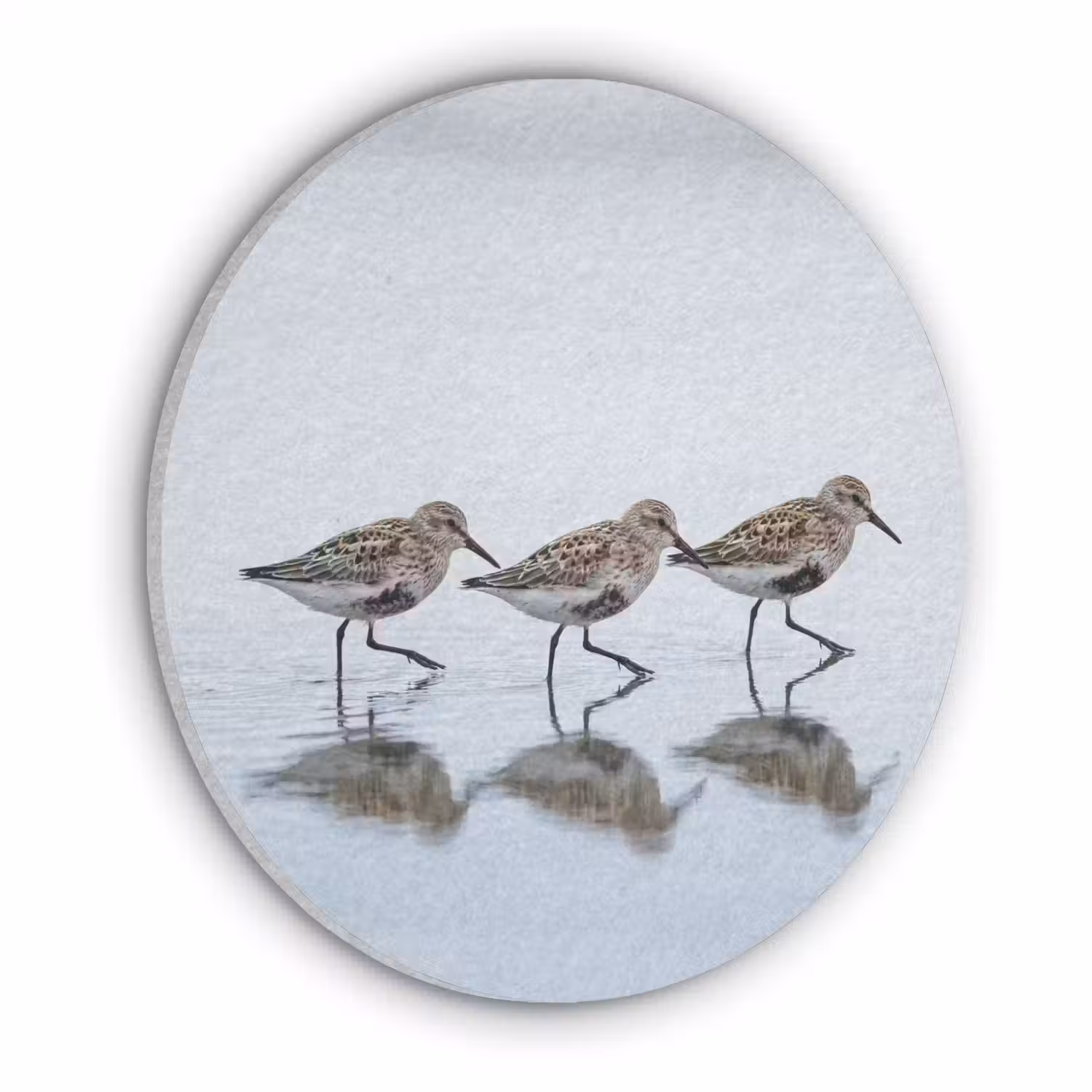 Vogels - Water - Grijs Akoestische PET Vilt - Rond klein -3d
