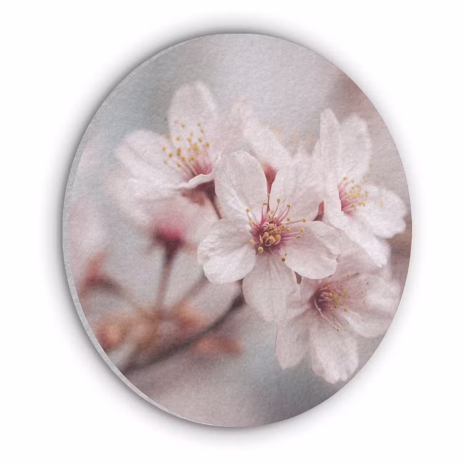 Bloesems - Meeldraden - Geel - Wazig Akoestische PET Vilt - Rond klein -3d