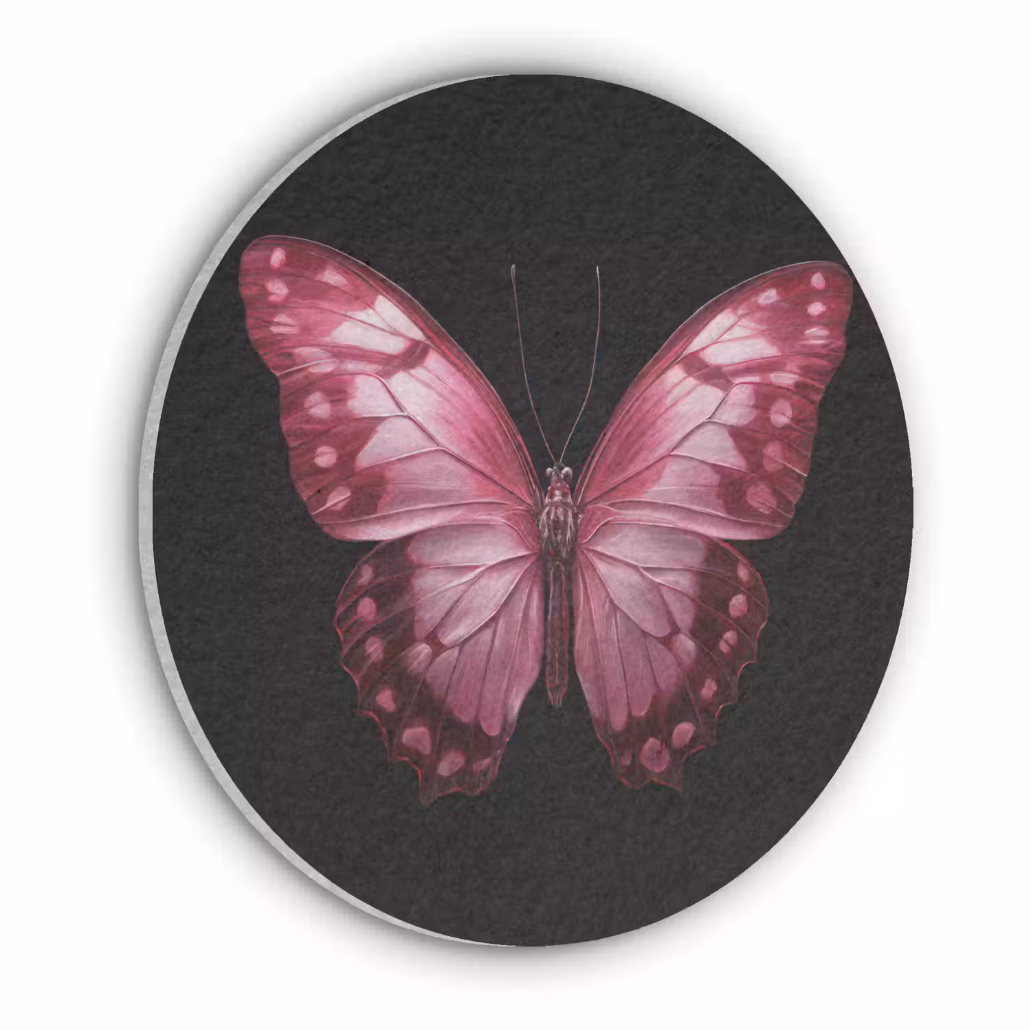Vlinder - Fuchsia - Grafisch Akoestische PET Vilt - Rond klein -3d