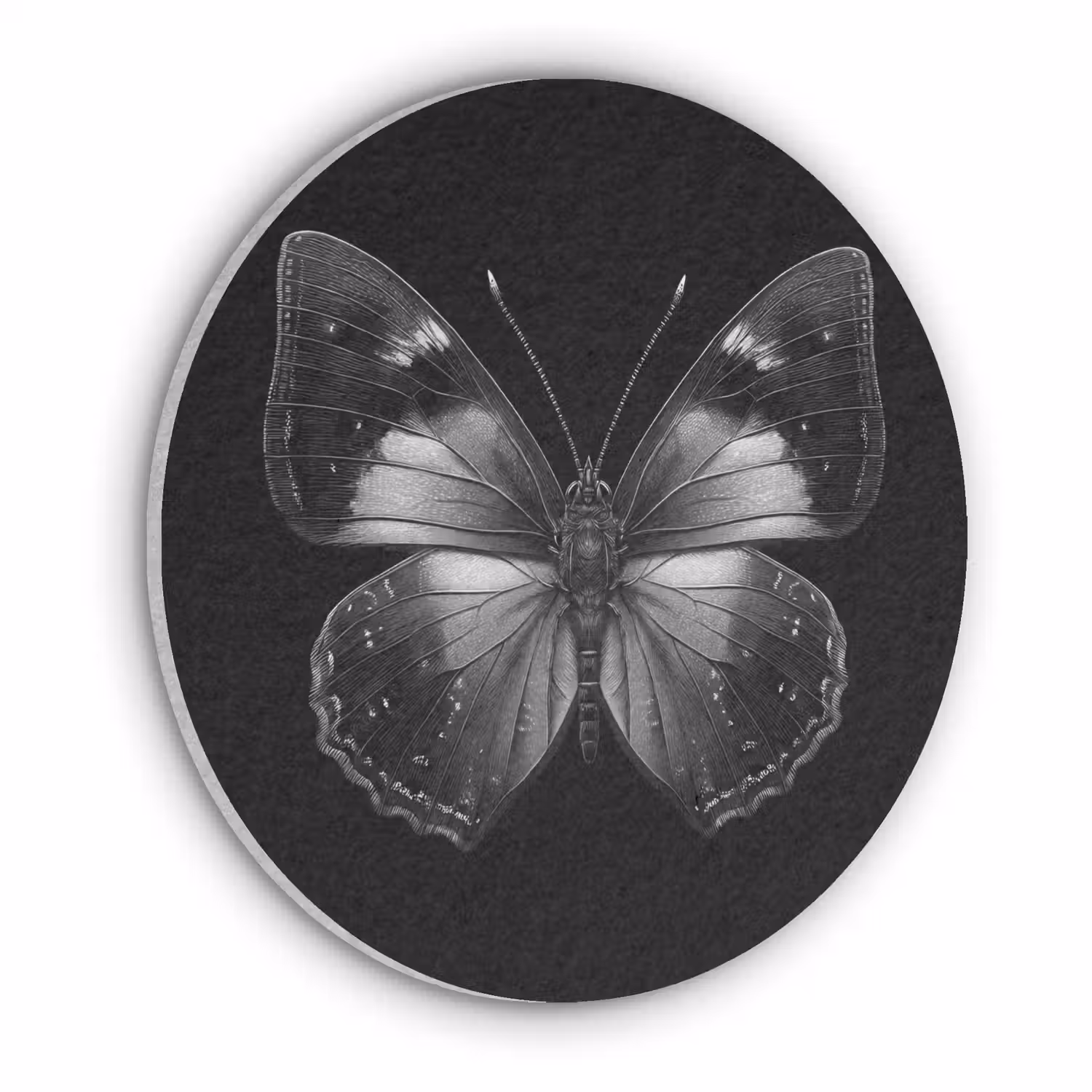 Vlinder - Grijs - Mysterieus Akoestische PET Vilt - Rond klein -3d