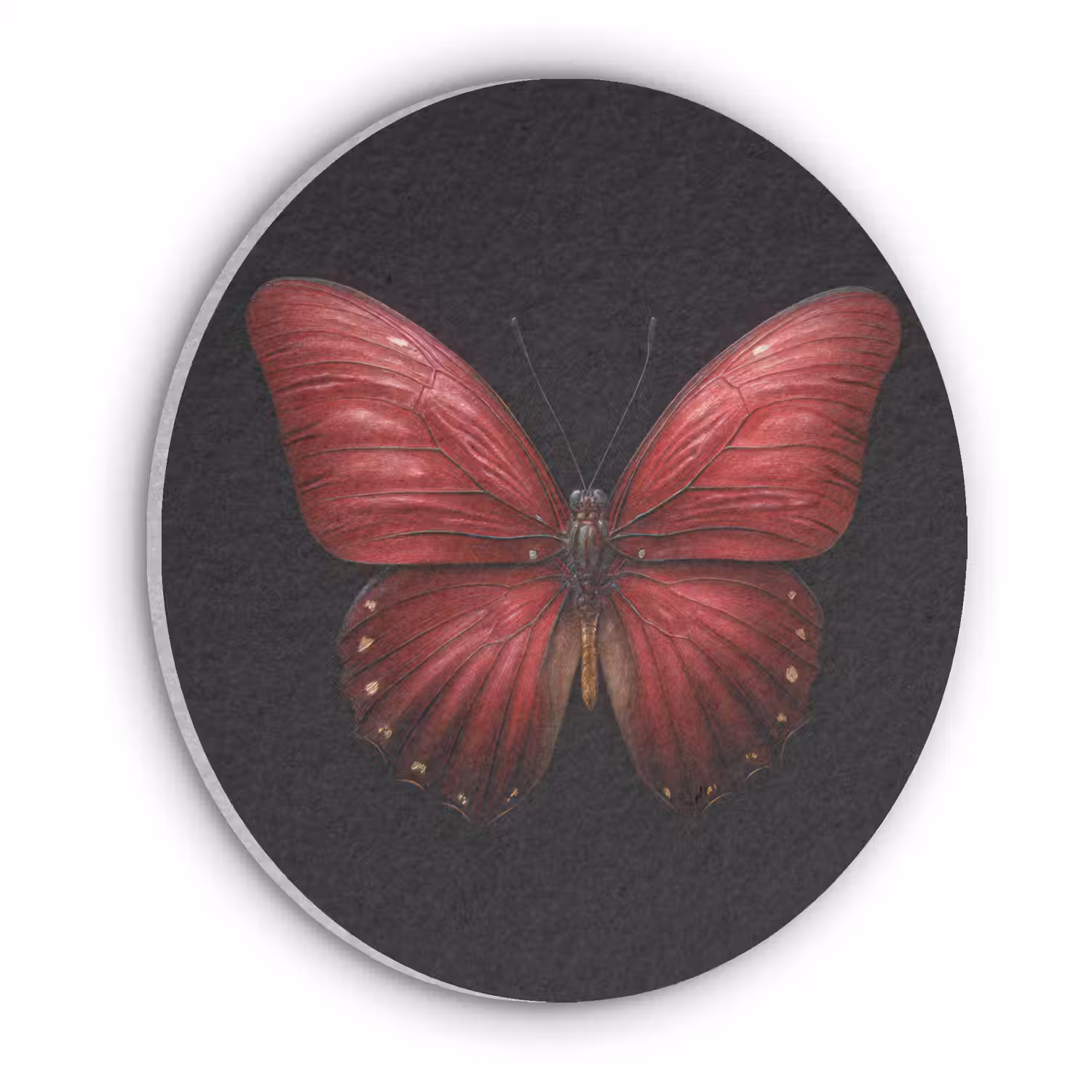 Vlinder - Rood - Minimalistisch Akoestische PET Vilt - Rond klein -3d