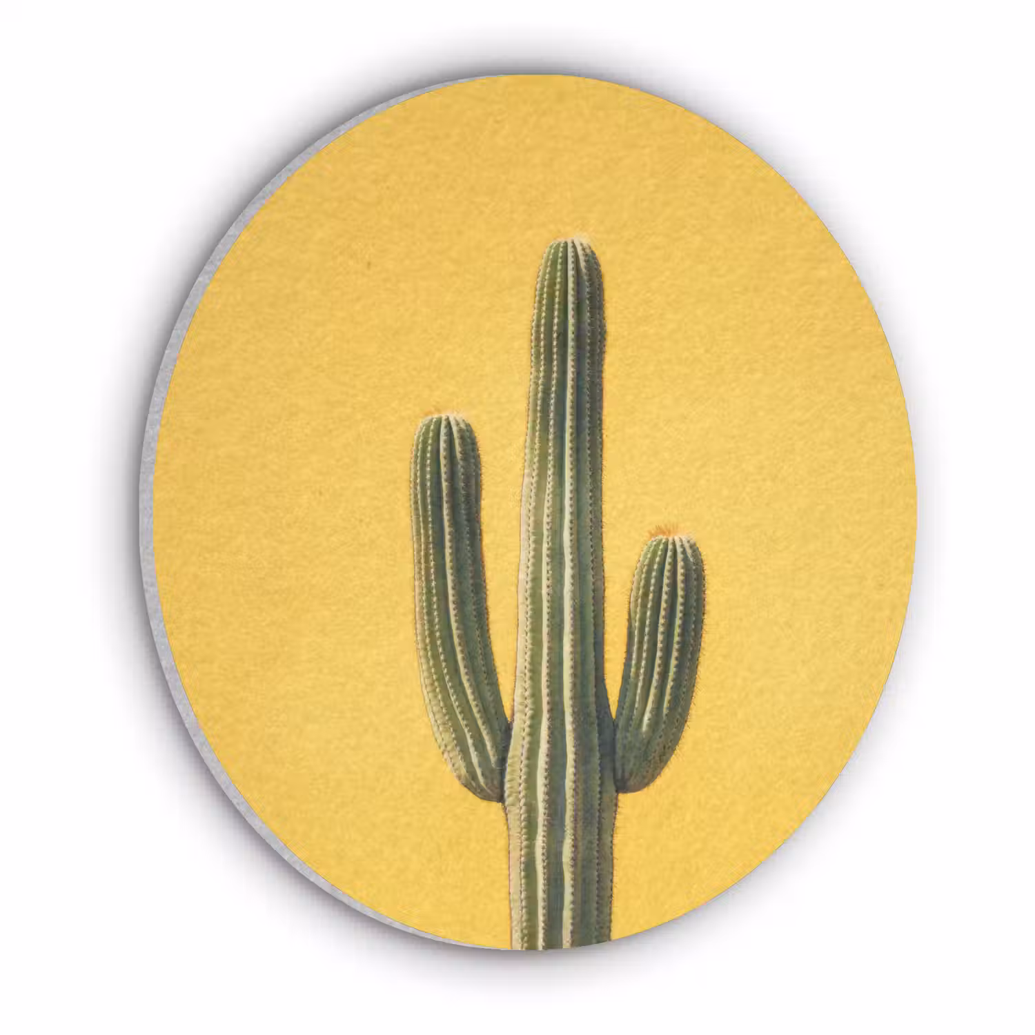 Cactus - Groen - Minimalistisch Akoestische PET Vilt - Rond klein -3d