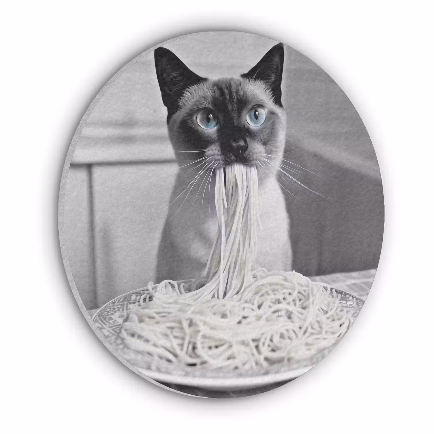 Kat - Siamees - Zwart Wit - Schattig - Dieren Akoestische PET Vilt - Rond klein -3d