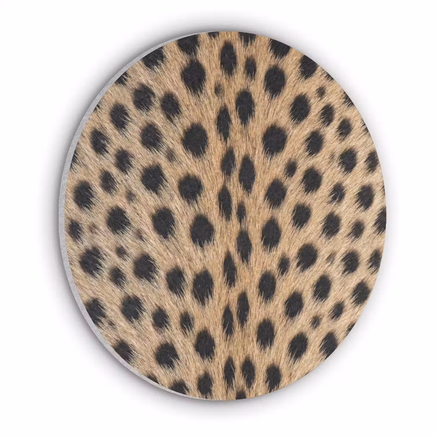 Vacht - Jachtluipaard - Zwart - Wit Akoestische PET Vilt - Rond klein -3d