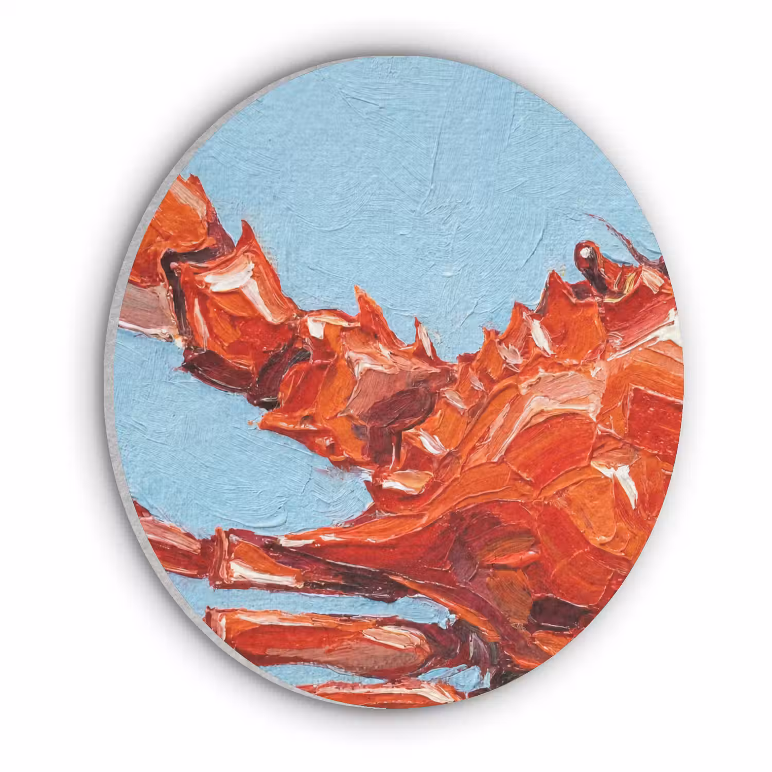 Krab - Zee - Dieren - Abstract - Rood Akoestische PET Vilt - Rond klein -3d