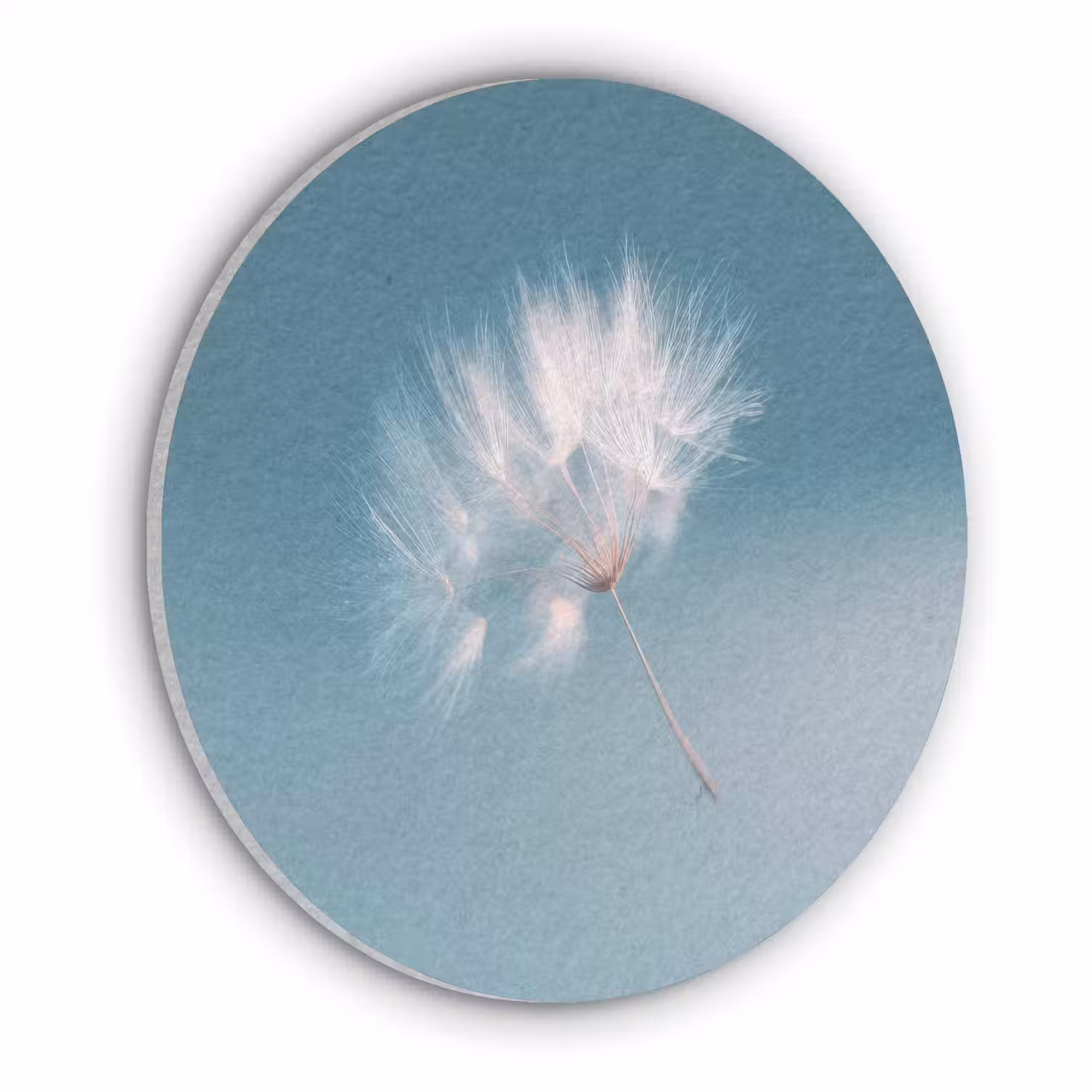 Paardenbloempluisje - Blauw - Lucht Akoestische PET Vilt - Rond klein -3d