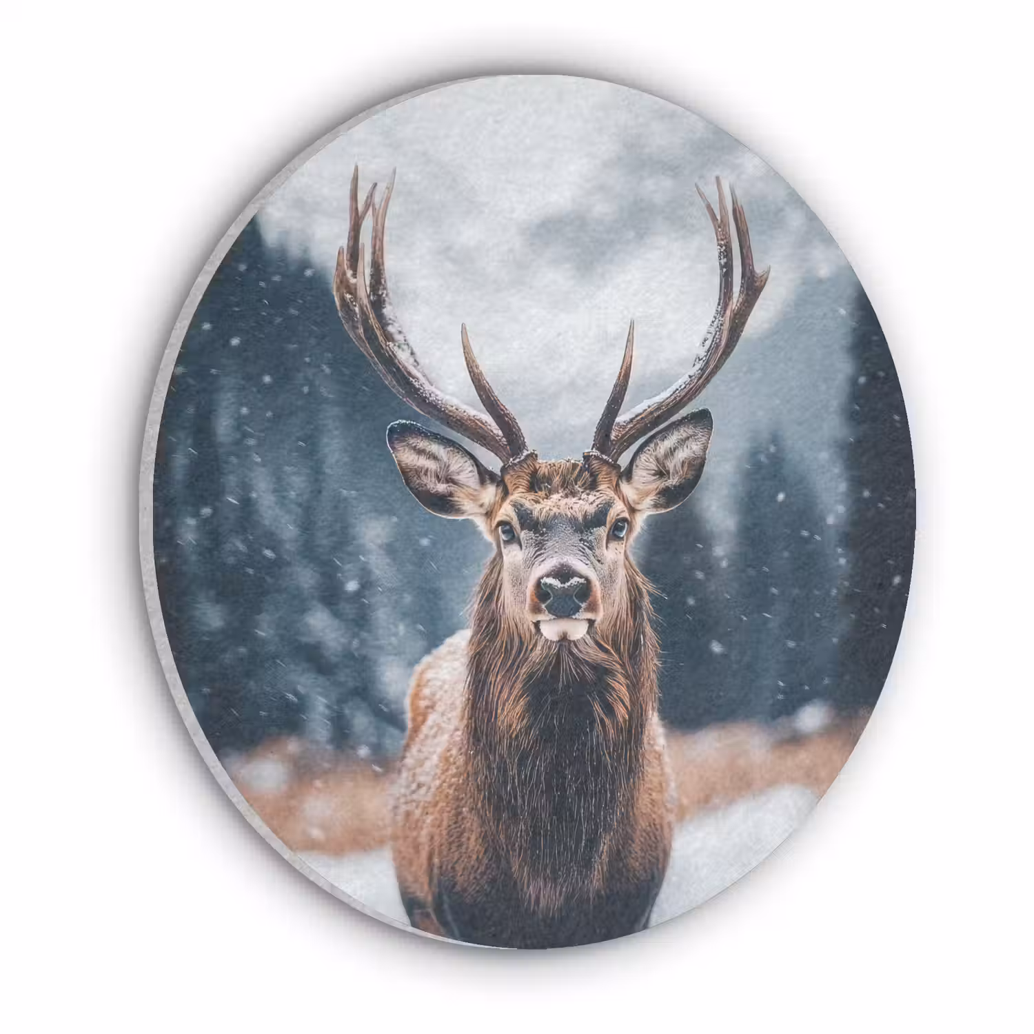 Hert - Dieren - Landschap - Winter - Sneeuw Akoestische PET Vilt - Rond klein -3d