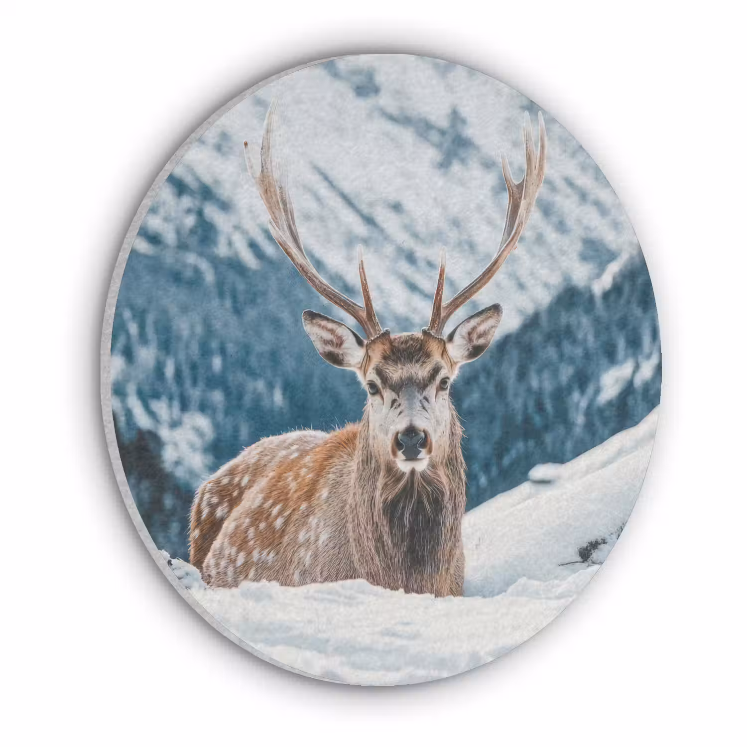 Hert - Landschap - Winter - Natuur - Dieren - Bergen Akoestische PET Vilt - Rond klein -3d