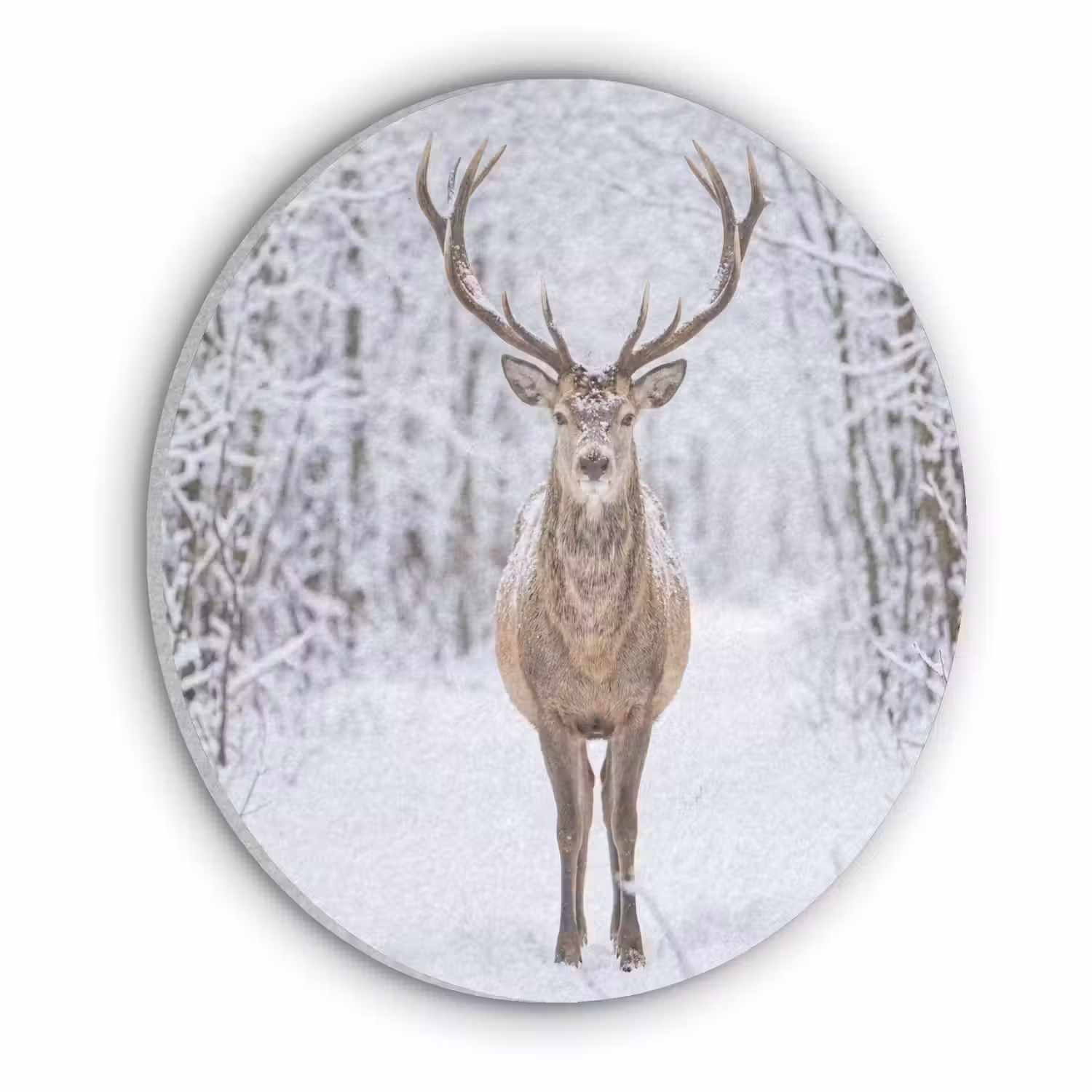 Hert - Winter - Bos - Natuur - Wit Akoestische PET Vilt - Rond klein -3d