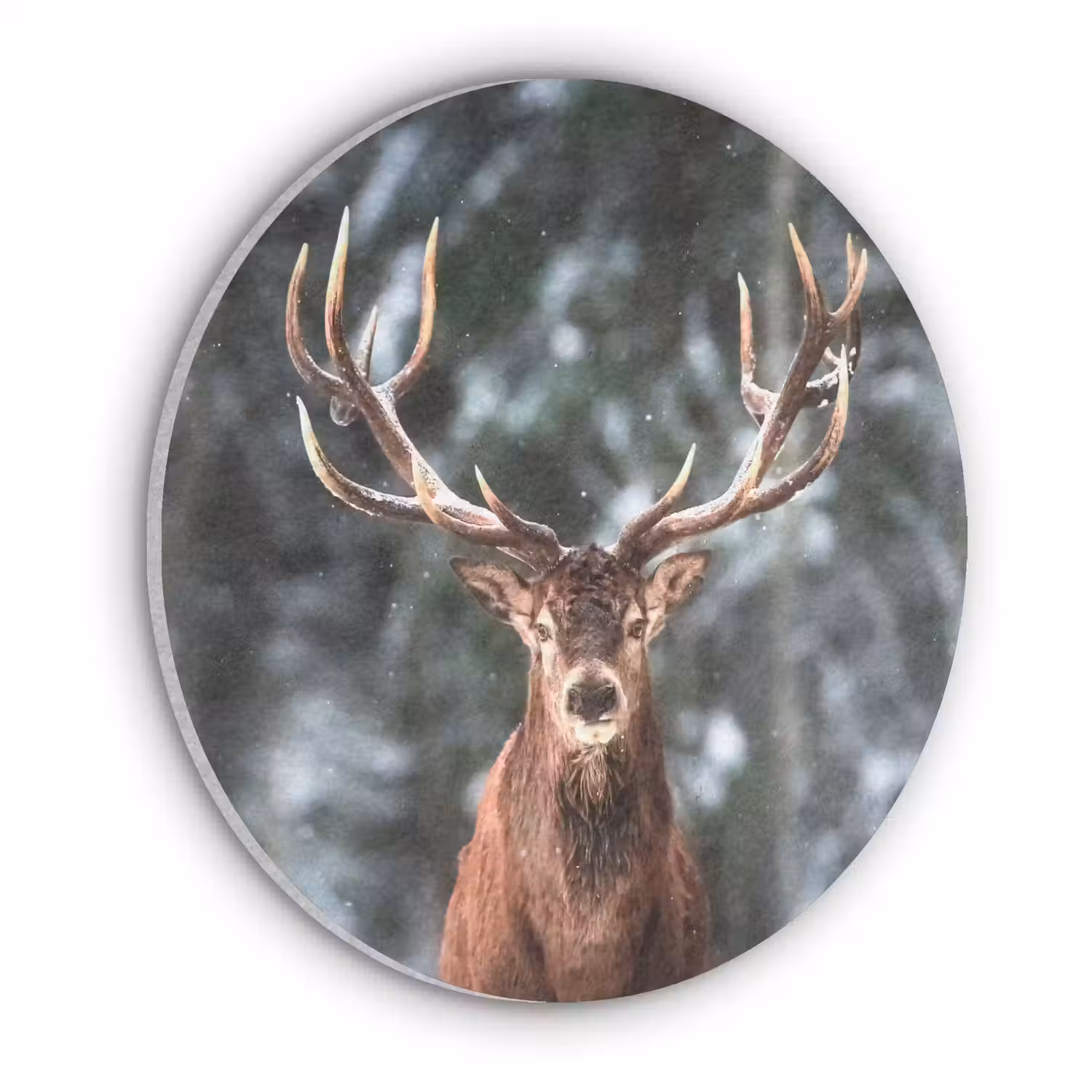 Hert - Winter - Sneeuw - Bos - Natuur - Dier Akoestische PET Vilt - Rond klein -3d