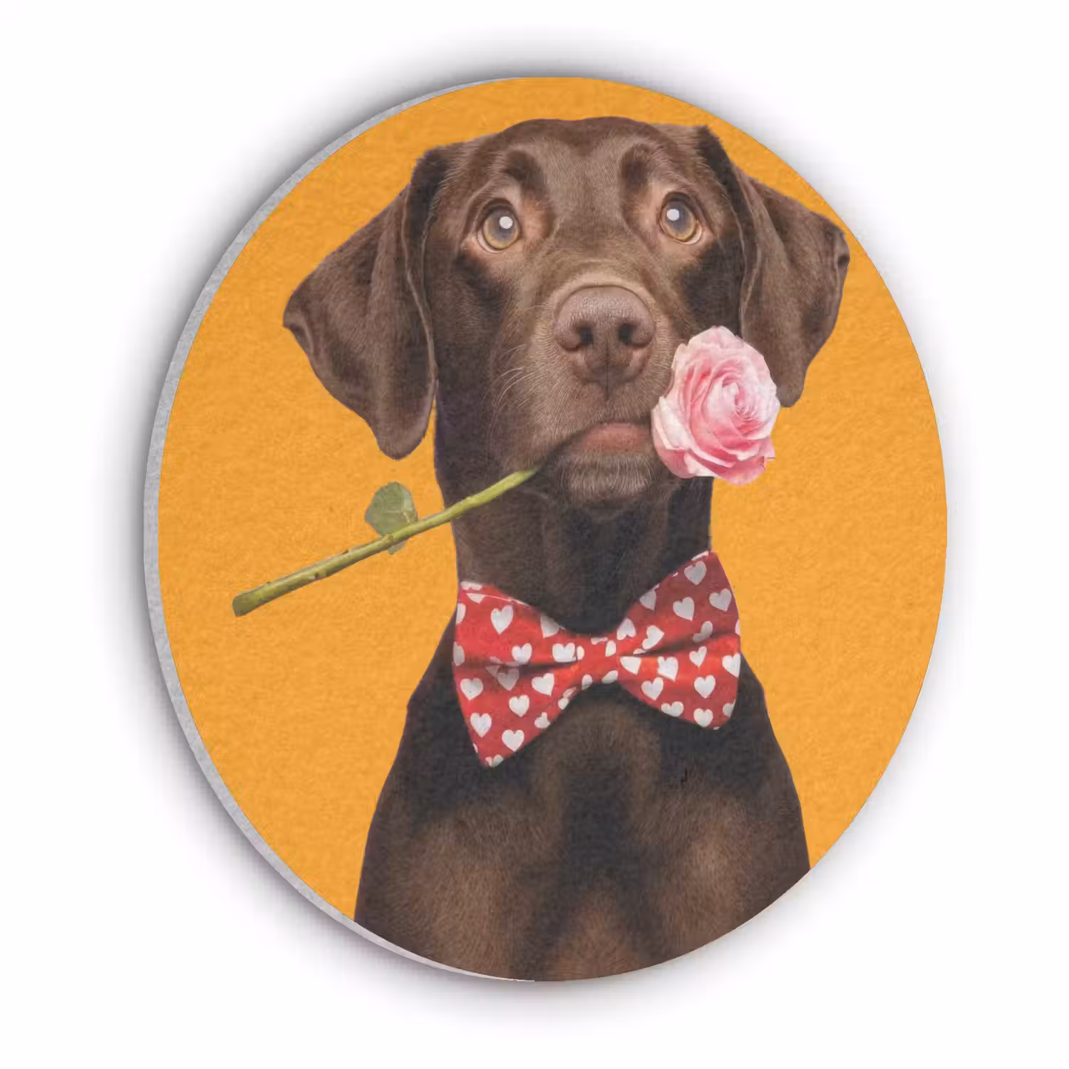 Hond - Oranje - Roos - Valentijn Akoestische PET Vilt - Rond klein -3d