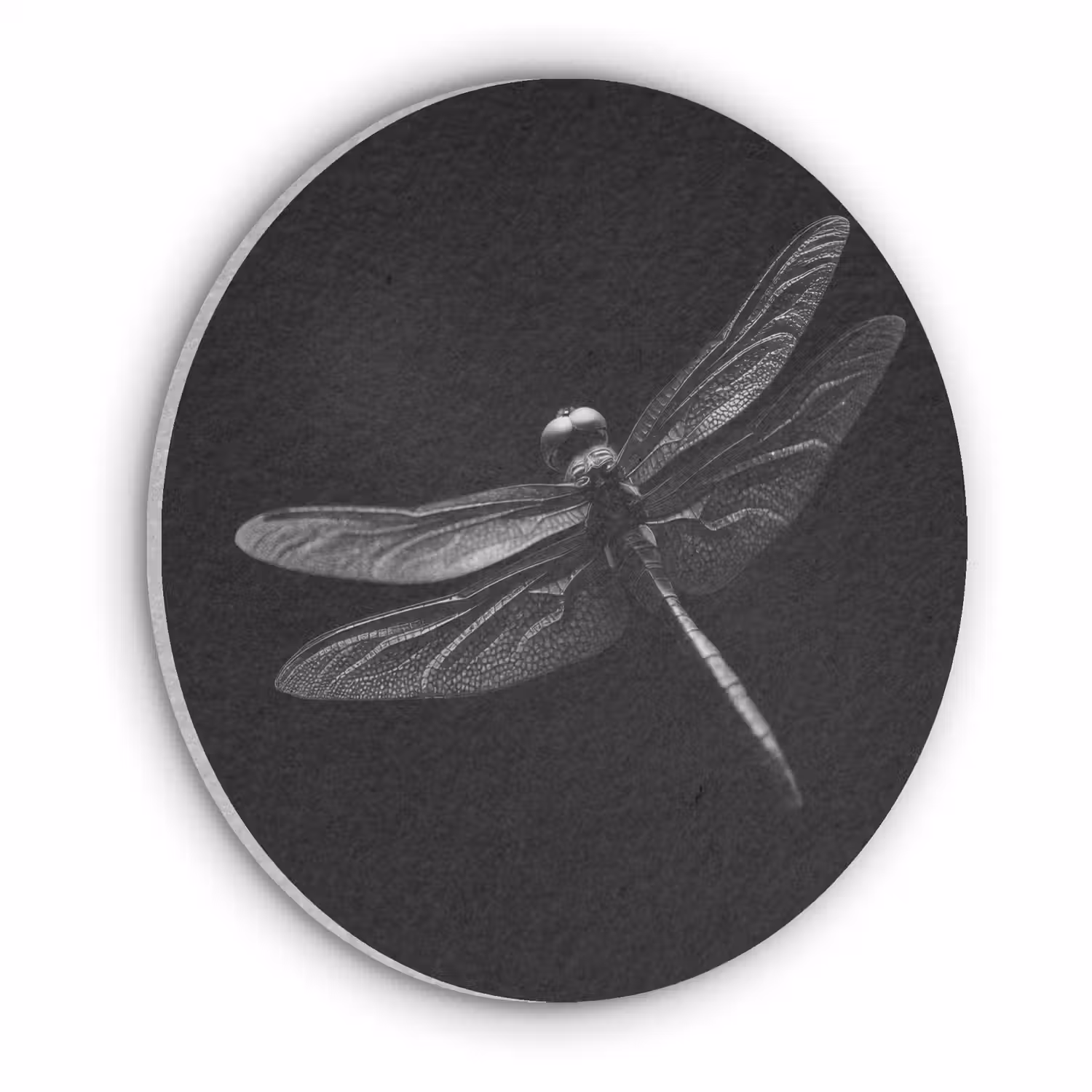 Libelle - Dieren - Zwart - Insect Akoestische PET Vilt - Rond klein -3d