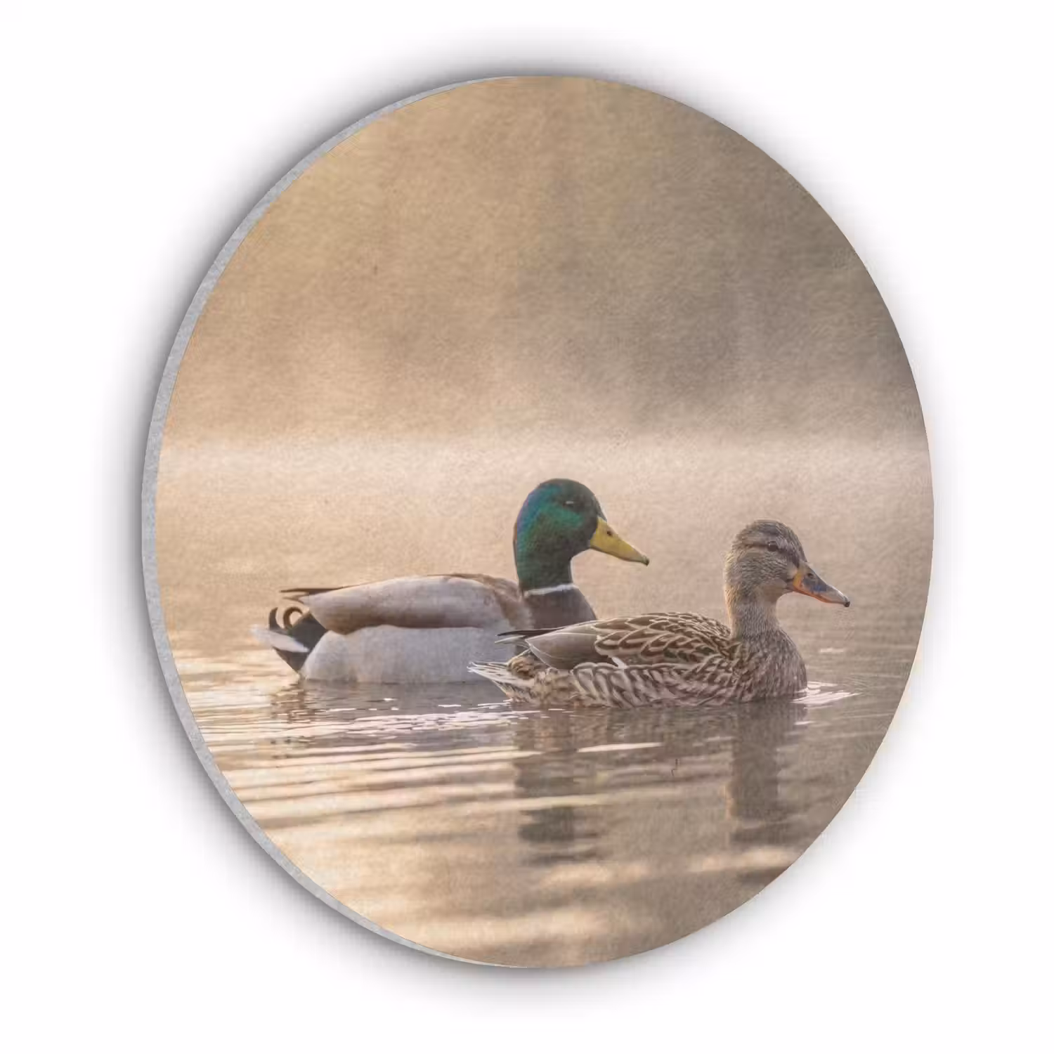Eenden - Water - Mist - Natuur Akoestische PET Vilt - Rond klein -3d