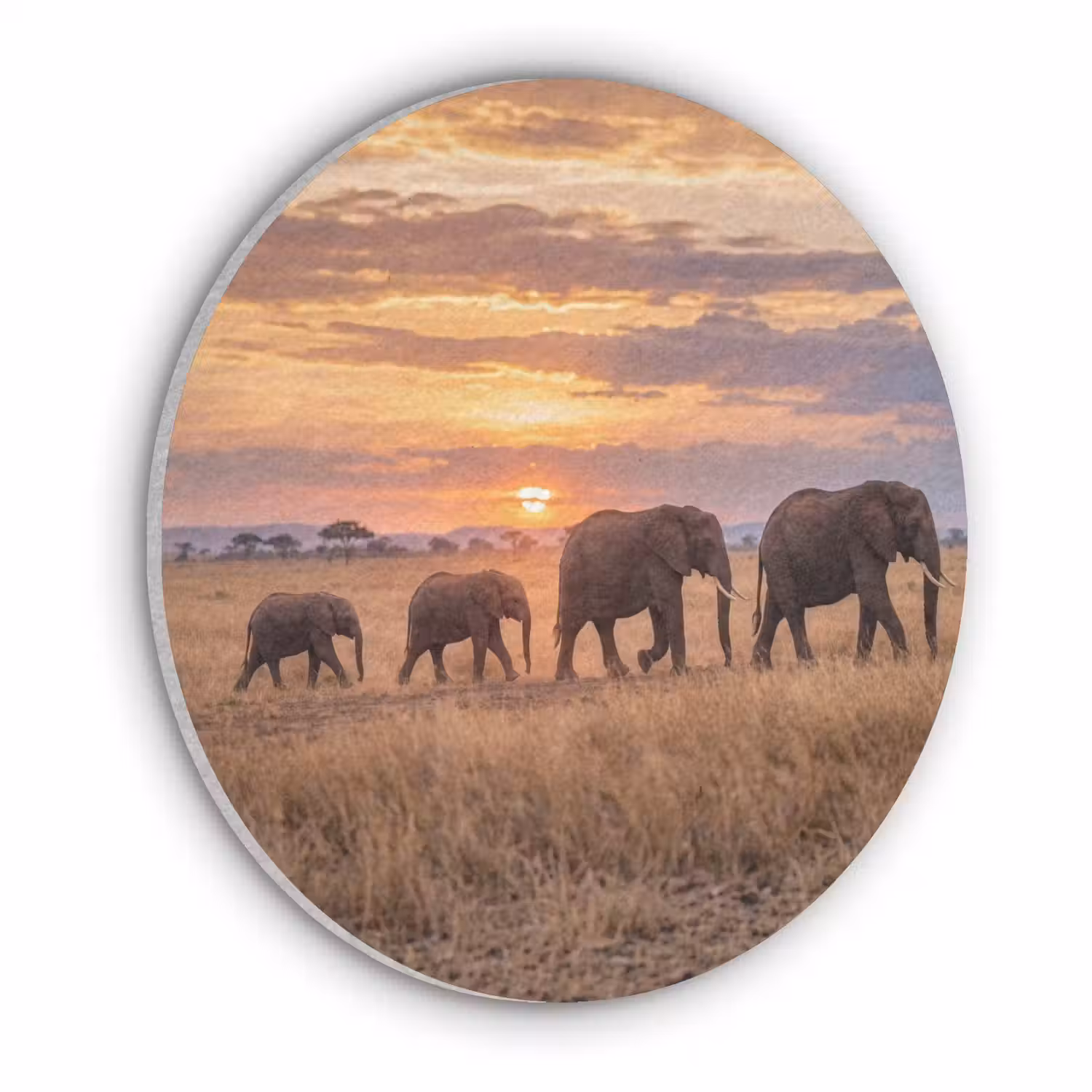 Olifanten - Savanne - Zonsondergang - Afrika - Warm Akoestische PET Vilt - Rond klein -3d