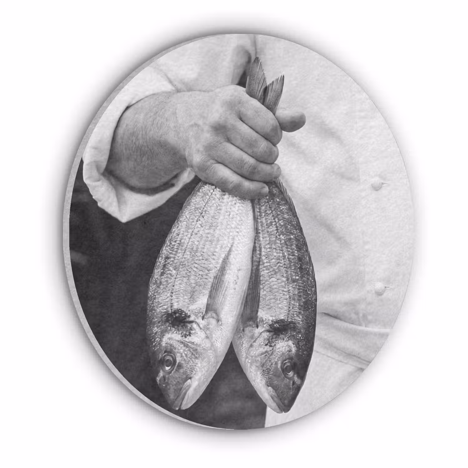 Vissen - Chef - Zwart - Wit Akoestische PET Vilt - Rond klein -3d