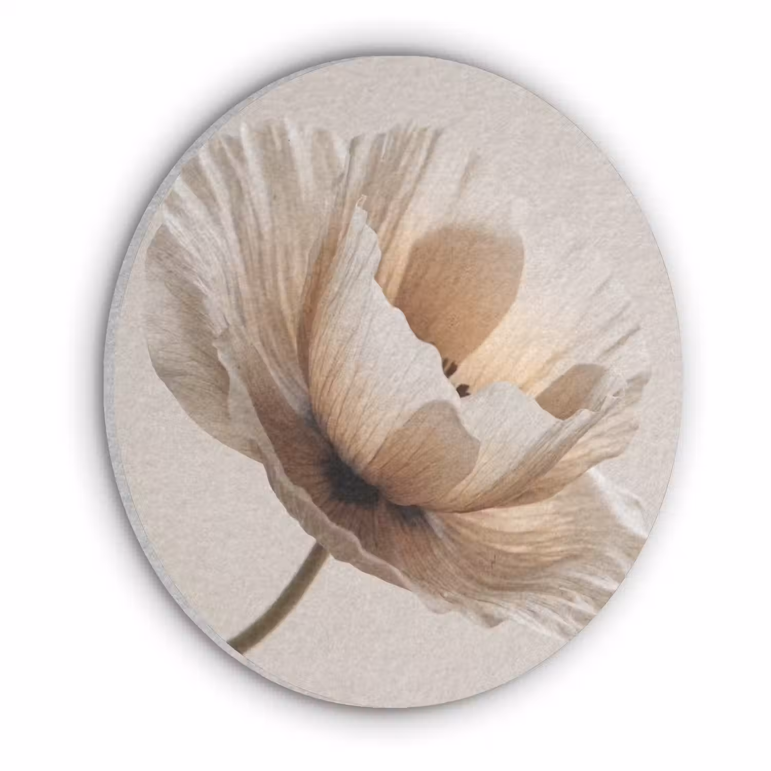 Bloem - Beige - Crème Akoestische PET Vilt - Rond klein -3d