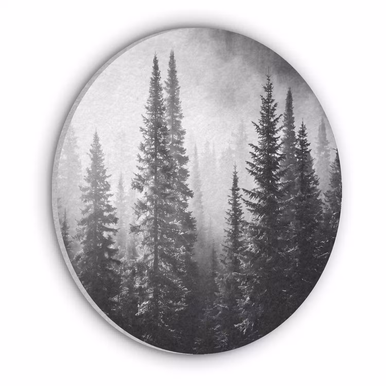 Bos - Mist - Winter - Monochroom - Natuur Akoestische PET Vilt - Rond klein -3d
