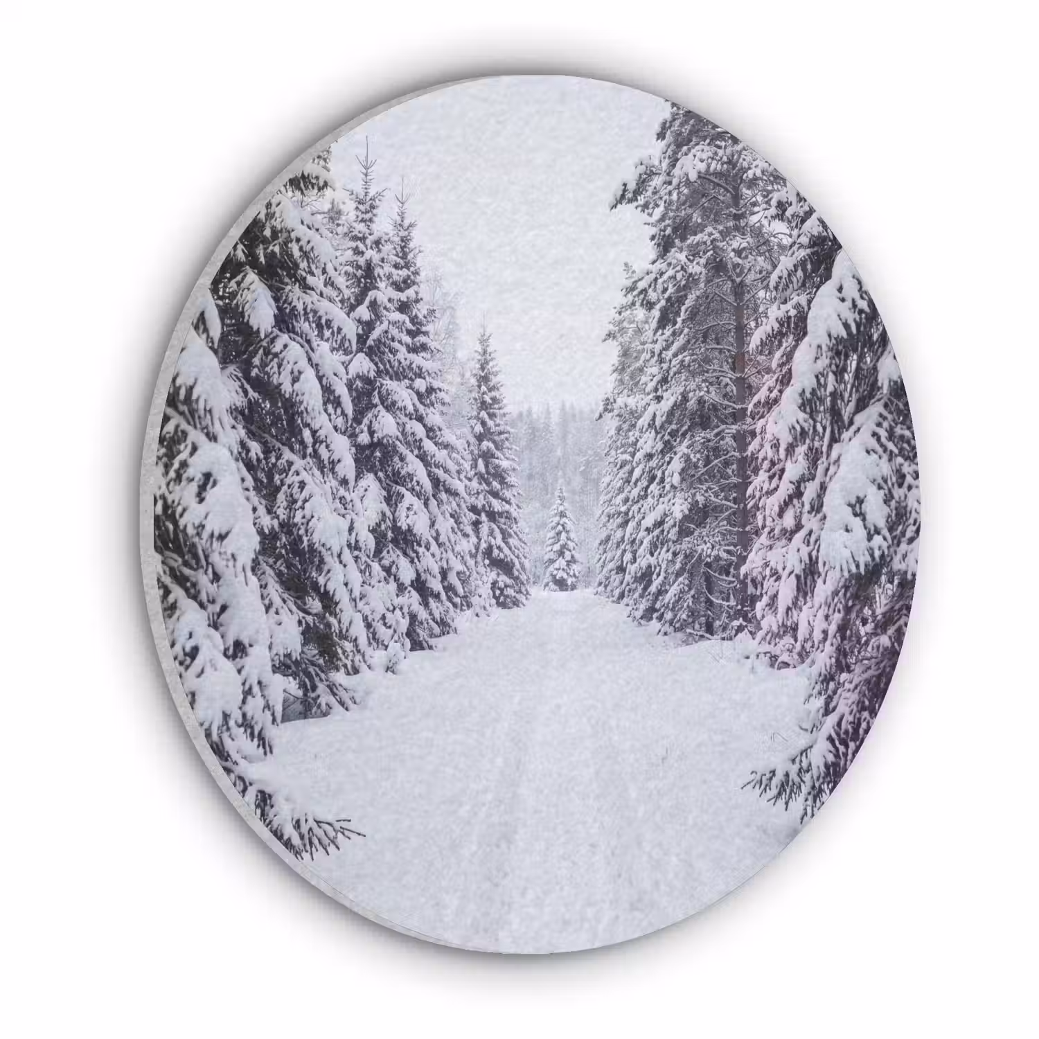 Bos - Winter - Sneeuw - Pad - Natuur Akoestische PET Vilt - Rond klein -3d