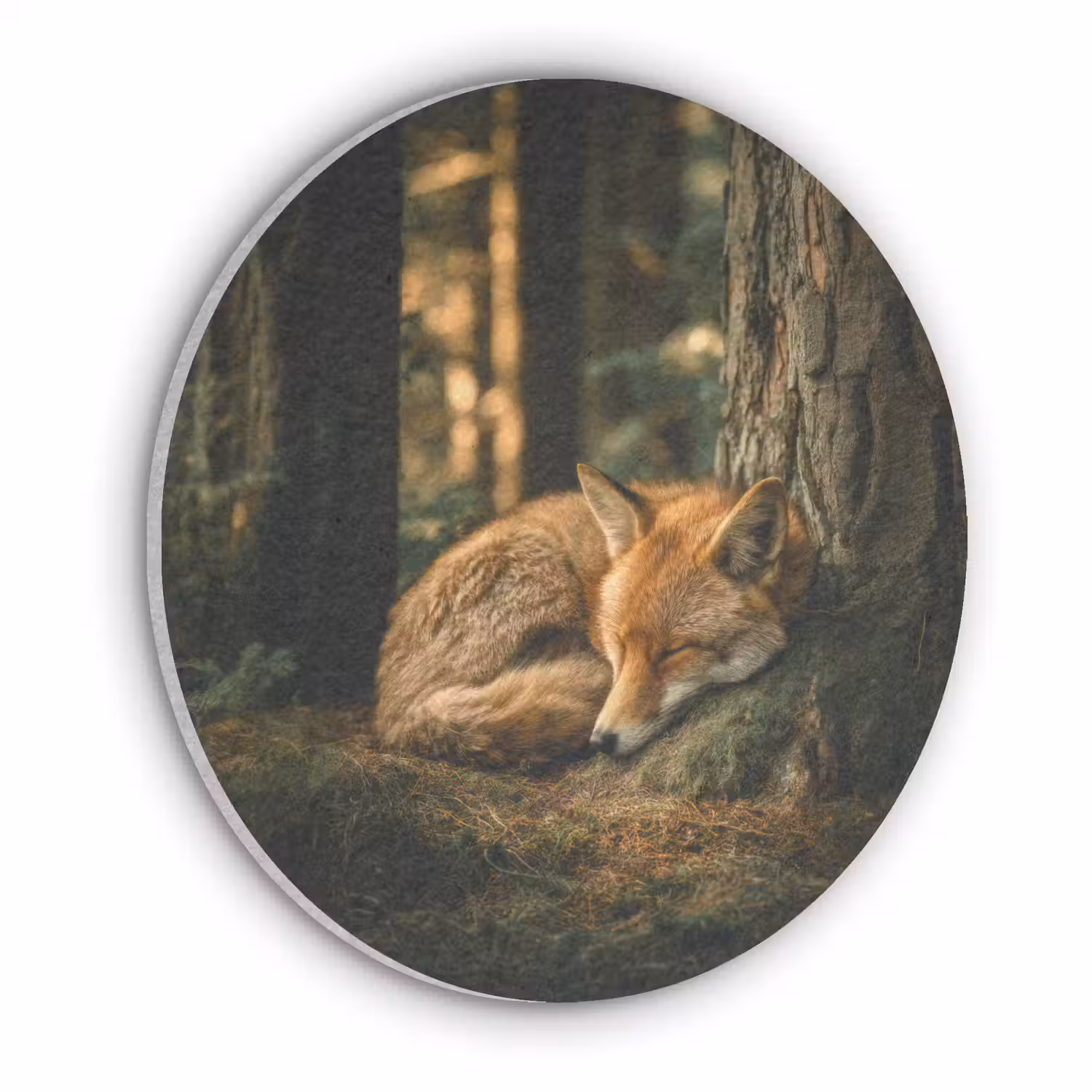 Vos - Bos - Slapen Akoestische PET Vilt - Rond klein -3d