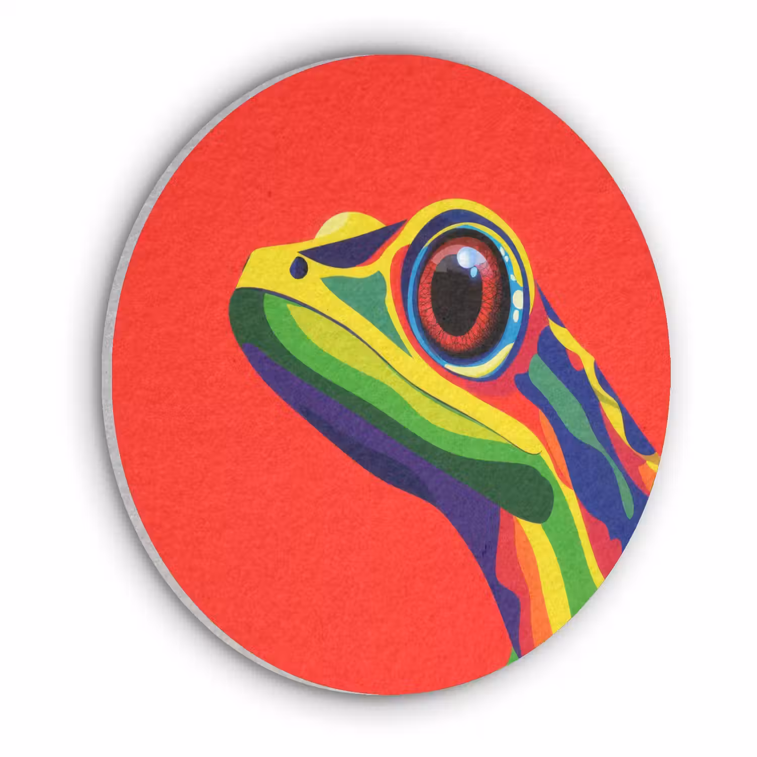 Kikker - Kleurrijk - Strepen - Ogen Akoestische PET Vilt - Rond klein -3d