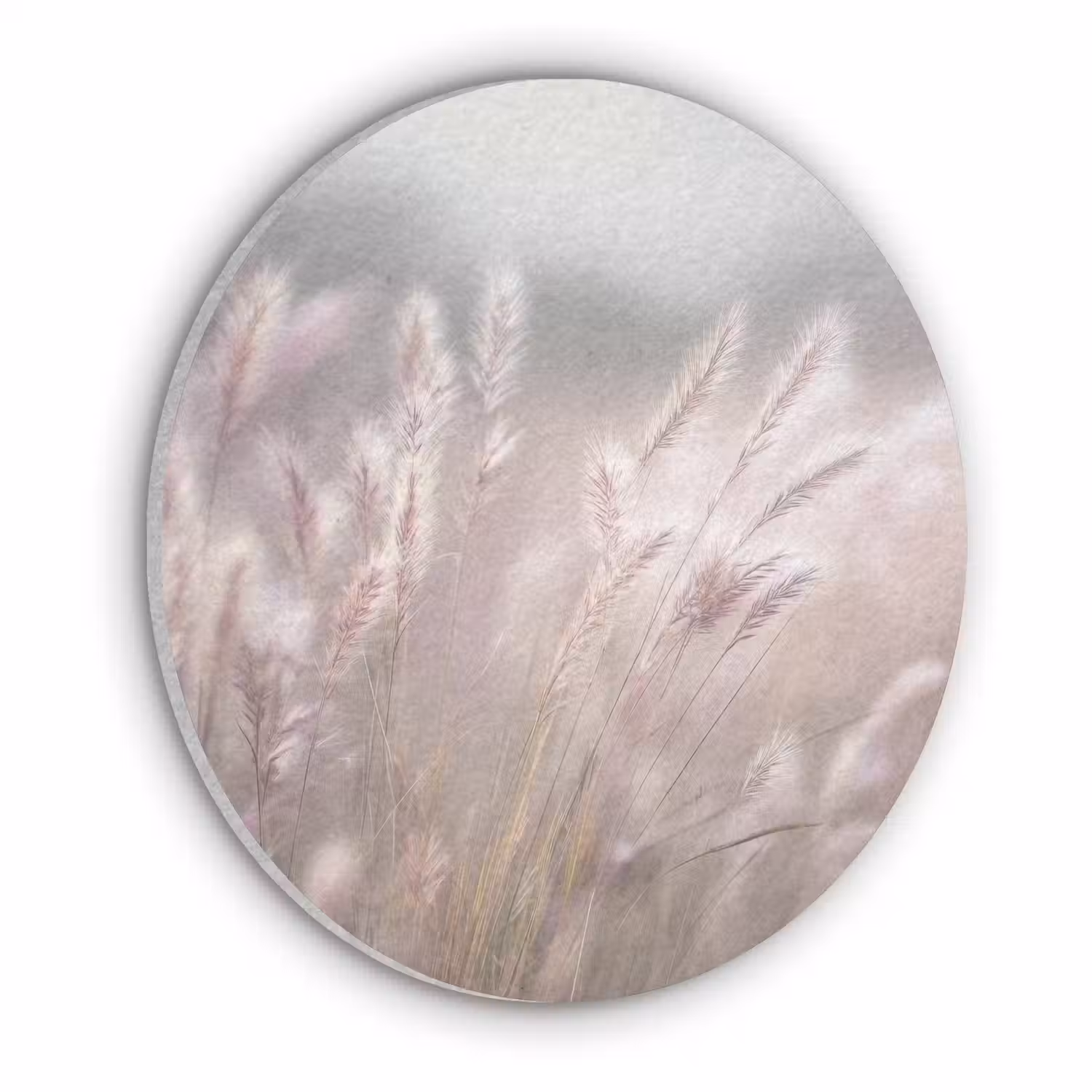 Graspluimen - Wind - Beige - Mistig Akoestische PET Vilt - Rond klein -3d
