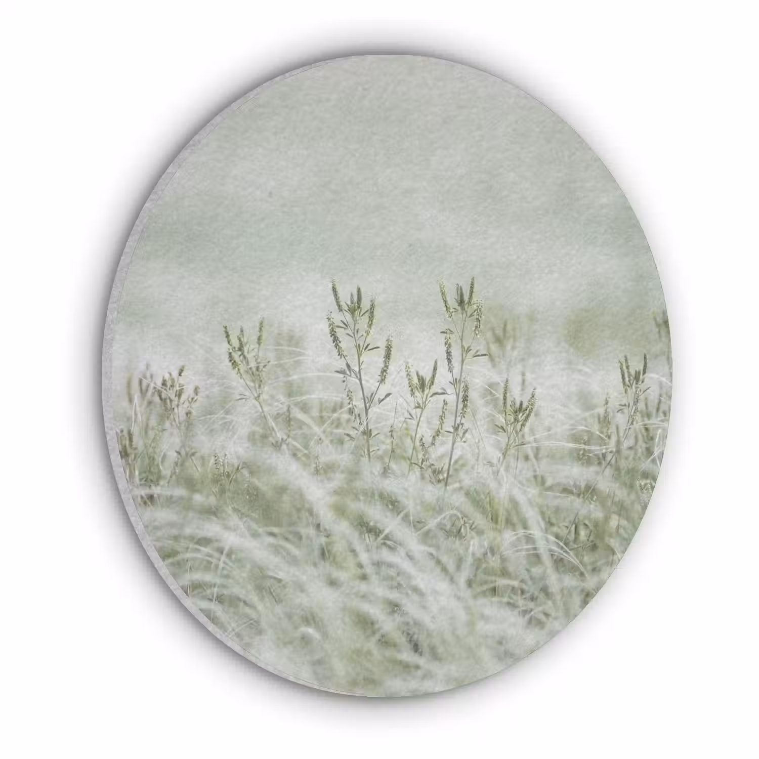 Grassen - Minimalistisch - Groen Akoestische PET Vilt - Rond klein -3d