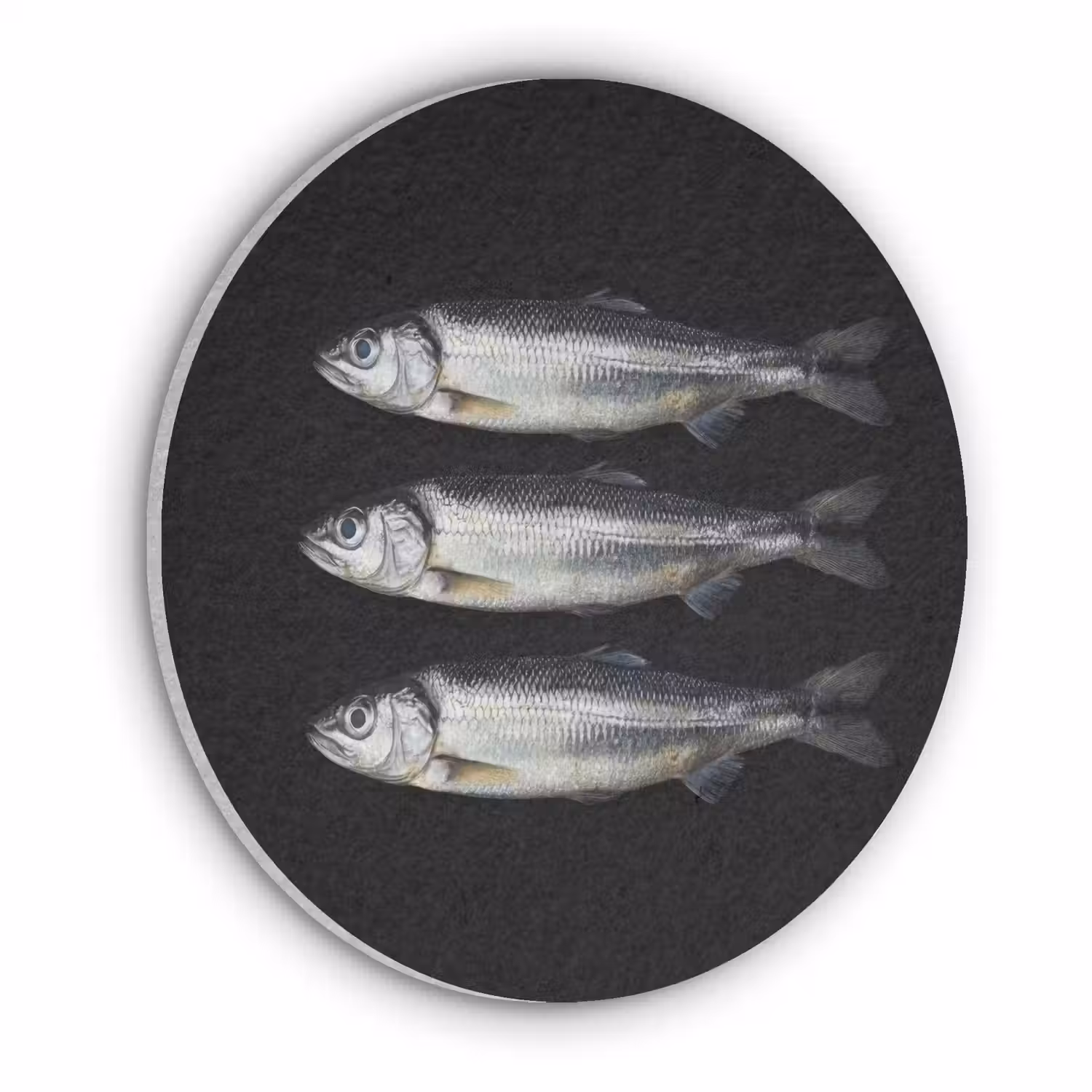 Haring - Vissen - Zwart Akoestische PET Vilt - Rond klein -3d