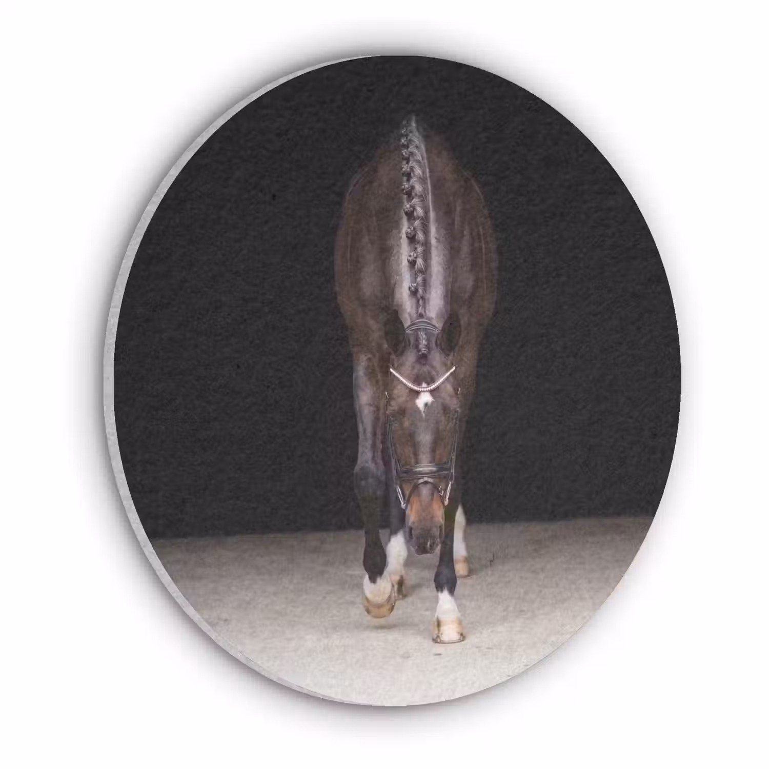 Paard - Modern - Portret Akoestische PET Vilt - Rond klein -3d