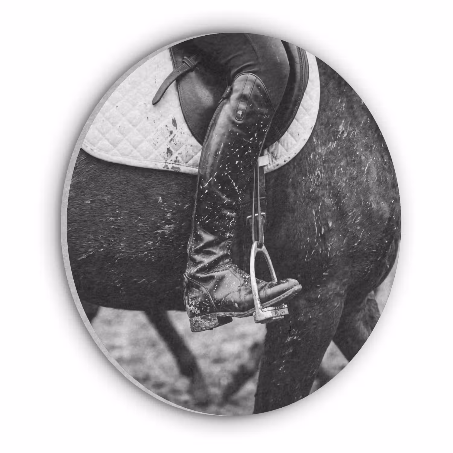 Paard - Sport - Zwart - Wit Akoestische PET Vilt - Rond klein -3d