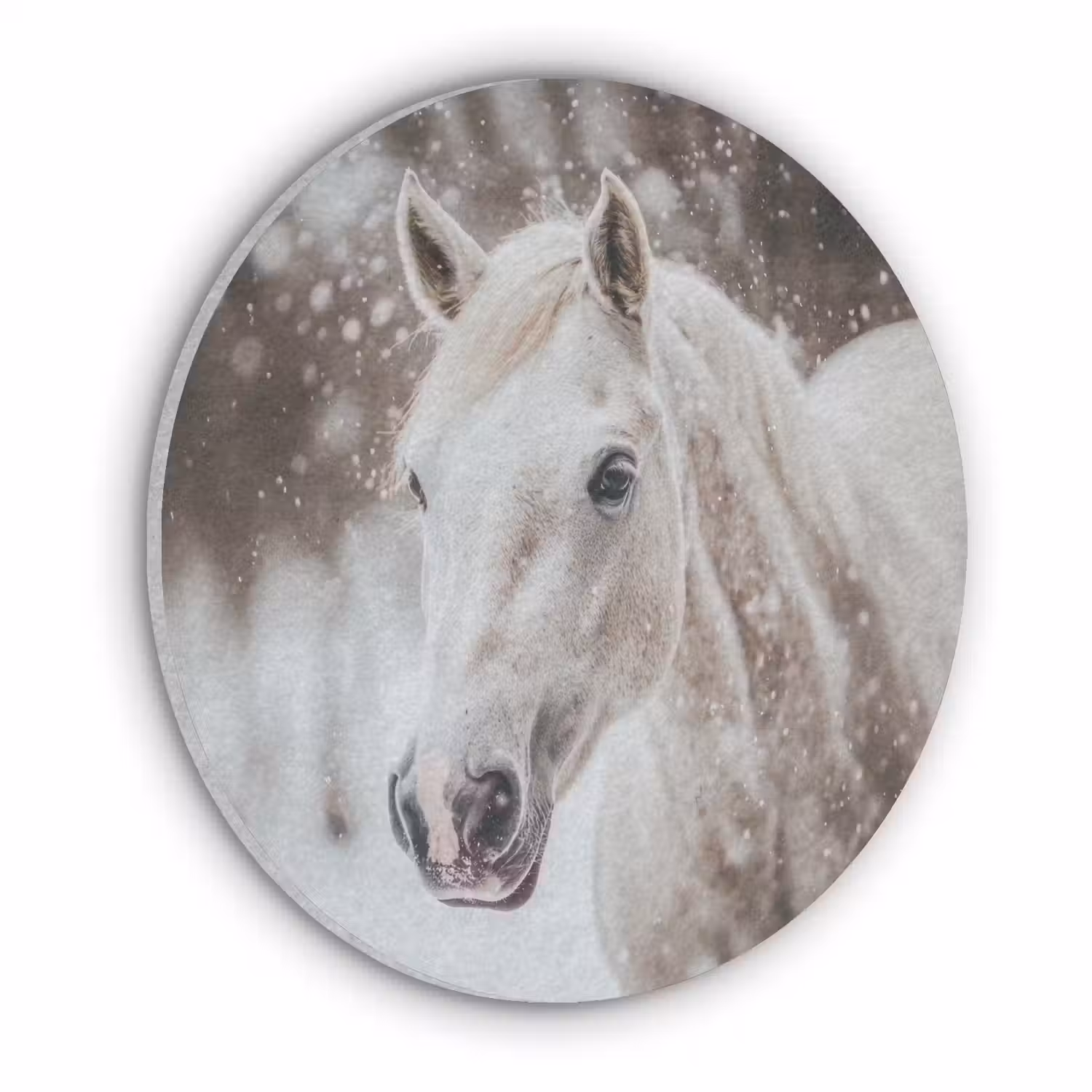 Paard - Wit - Winter - Natuur - Sneeuw - Dieren Akoestische PET Vilt - Rond klein -3d