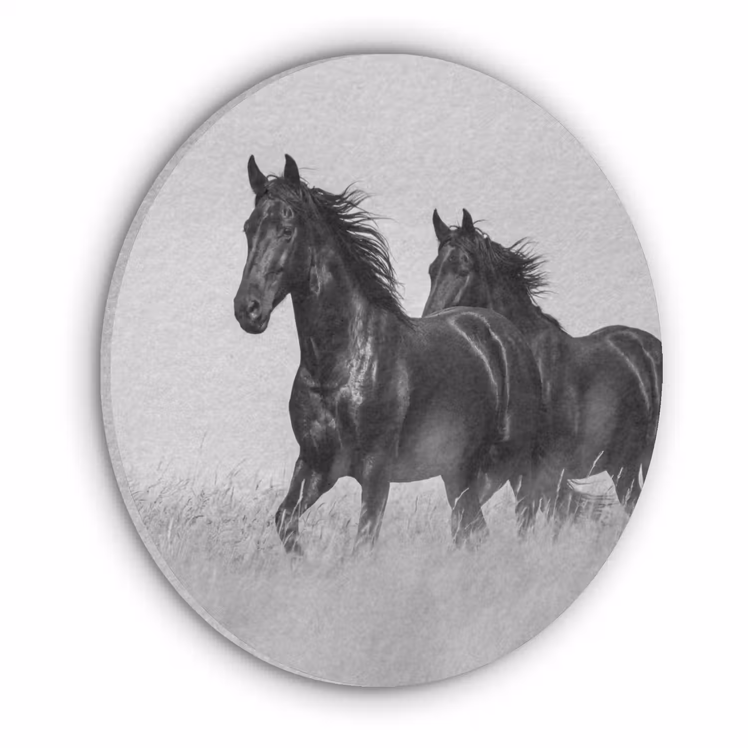Paarden - Gras - Zwart - Wit Akoestische PET Vilt - Rond klein -3d