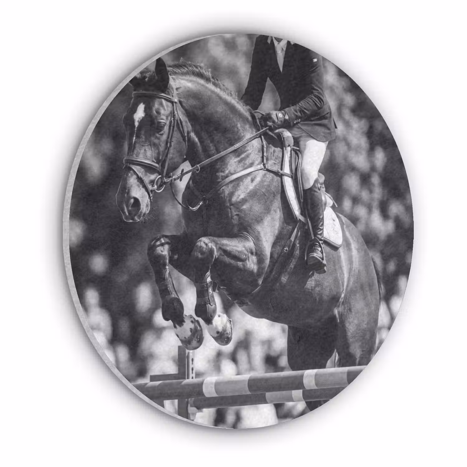Springen - Paard - Zwart - Wit Akoestische PET Vilt - Rond klein -3d