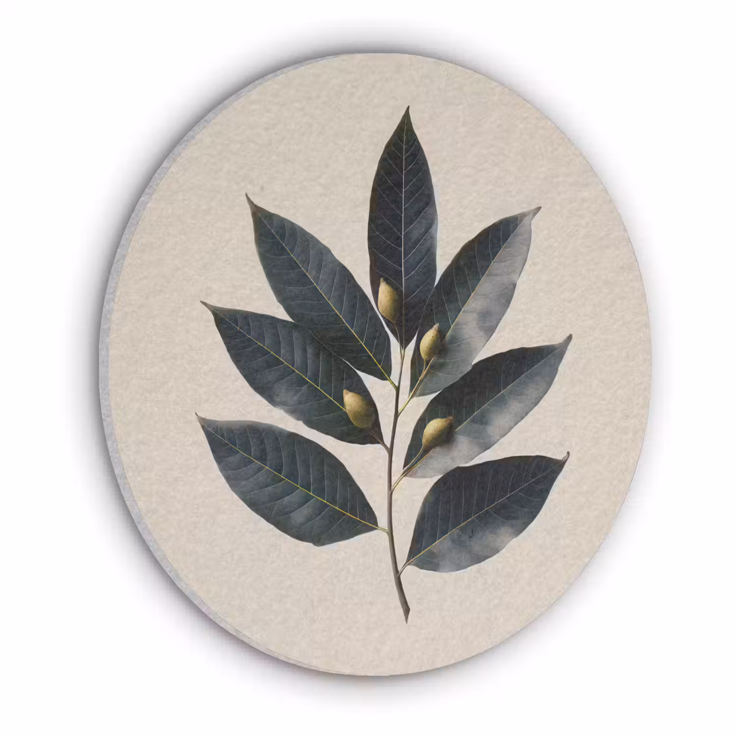 Laurierbladeren - Bloemknoppen - subtiel Akoestische PET Vilt - Rond klein -3d