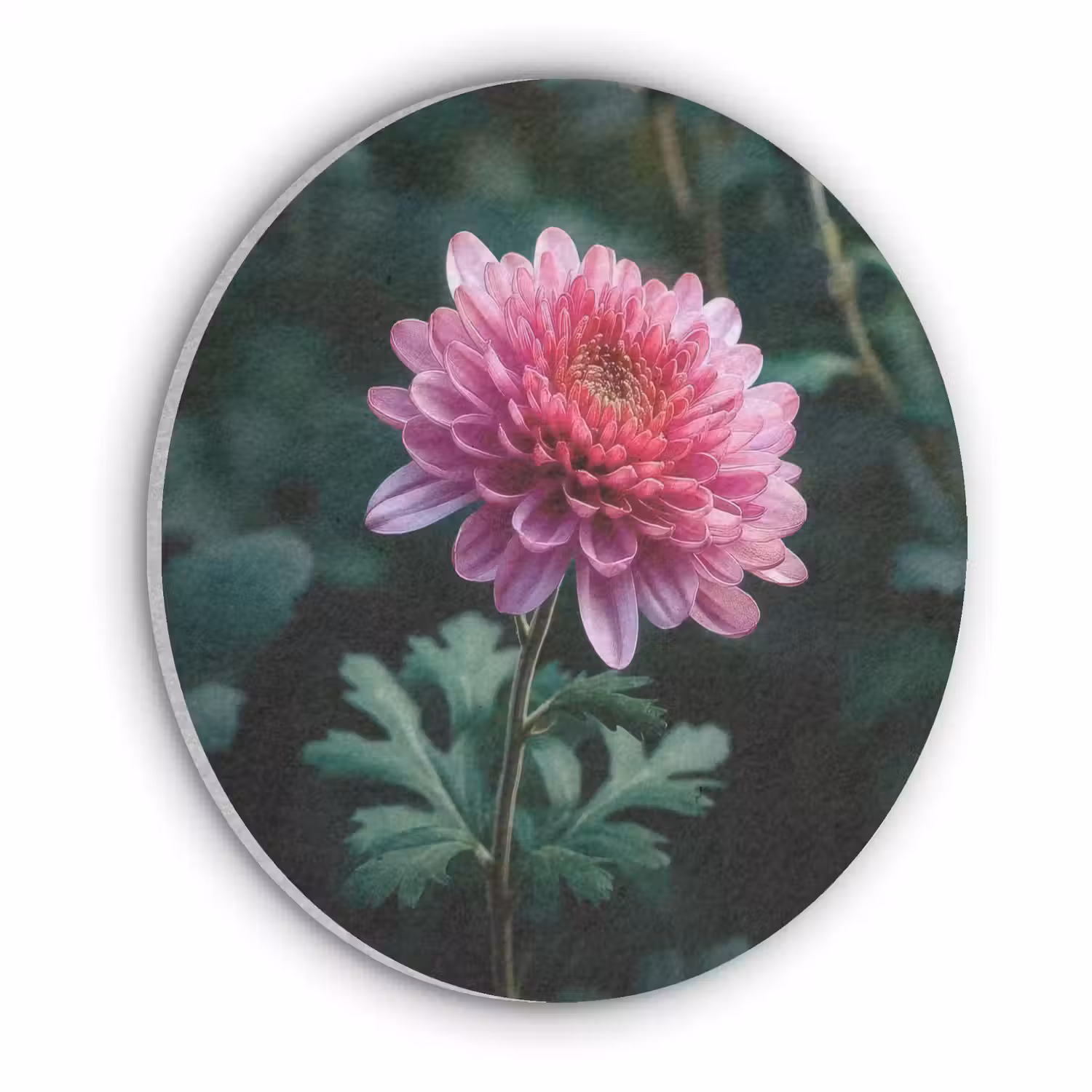 Blad - Chrysant - Roze - Schaduw Akoestische PET Vilt - Rond klein -3d