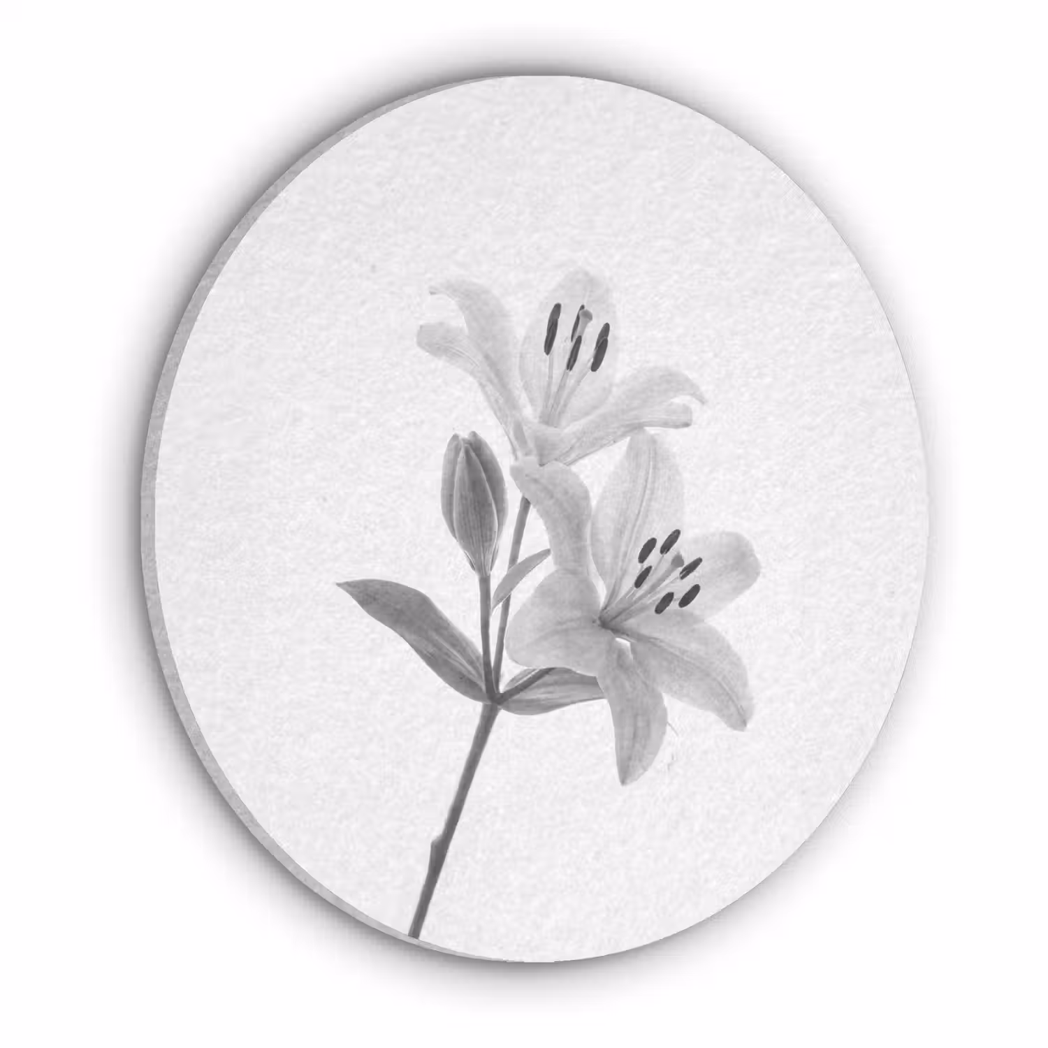 Lelies - Elegant - Zwart - Wit Akoestische PET Vilt - Rond klein -3d