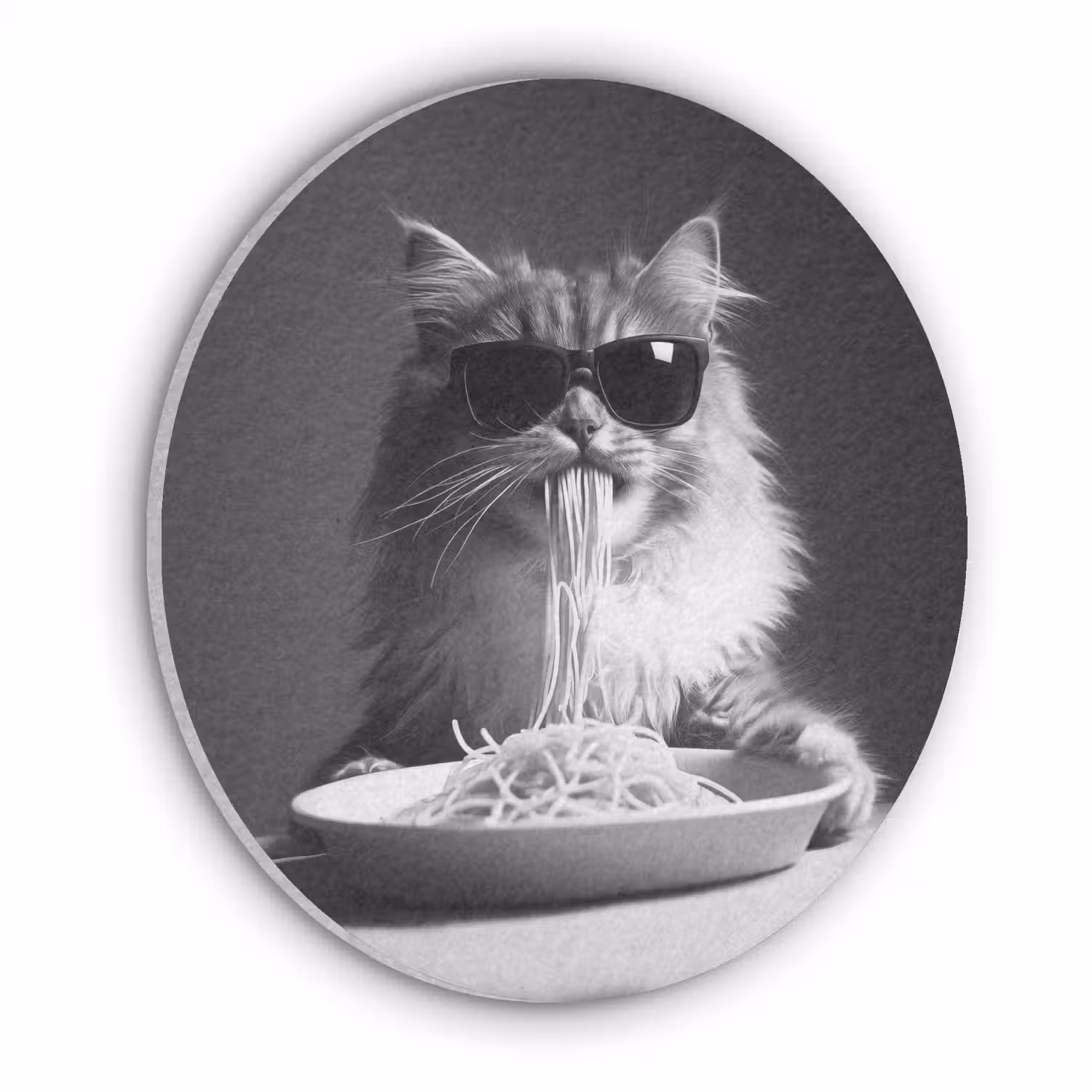 Langharige kat - Zonnebril - Spaghetti - Humor - Zwart - wit Akoestische PET Vilt - Rond klein -3d